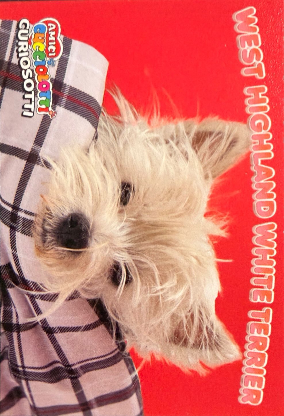 Amici Cucciolotti 2026 Pizzardi Editore - Figurine a scelta da 251 a 460 MD MS Tattoo