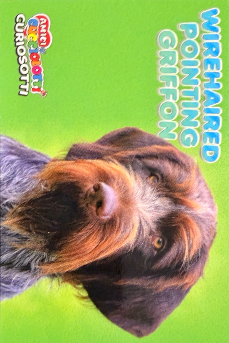 Amici Cucciolotti 2026 Pizzardi Editore - Figurine a scelta da 251 a 460 MD MS Tattoo