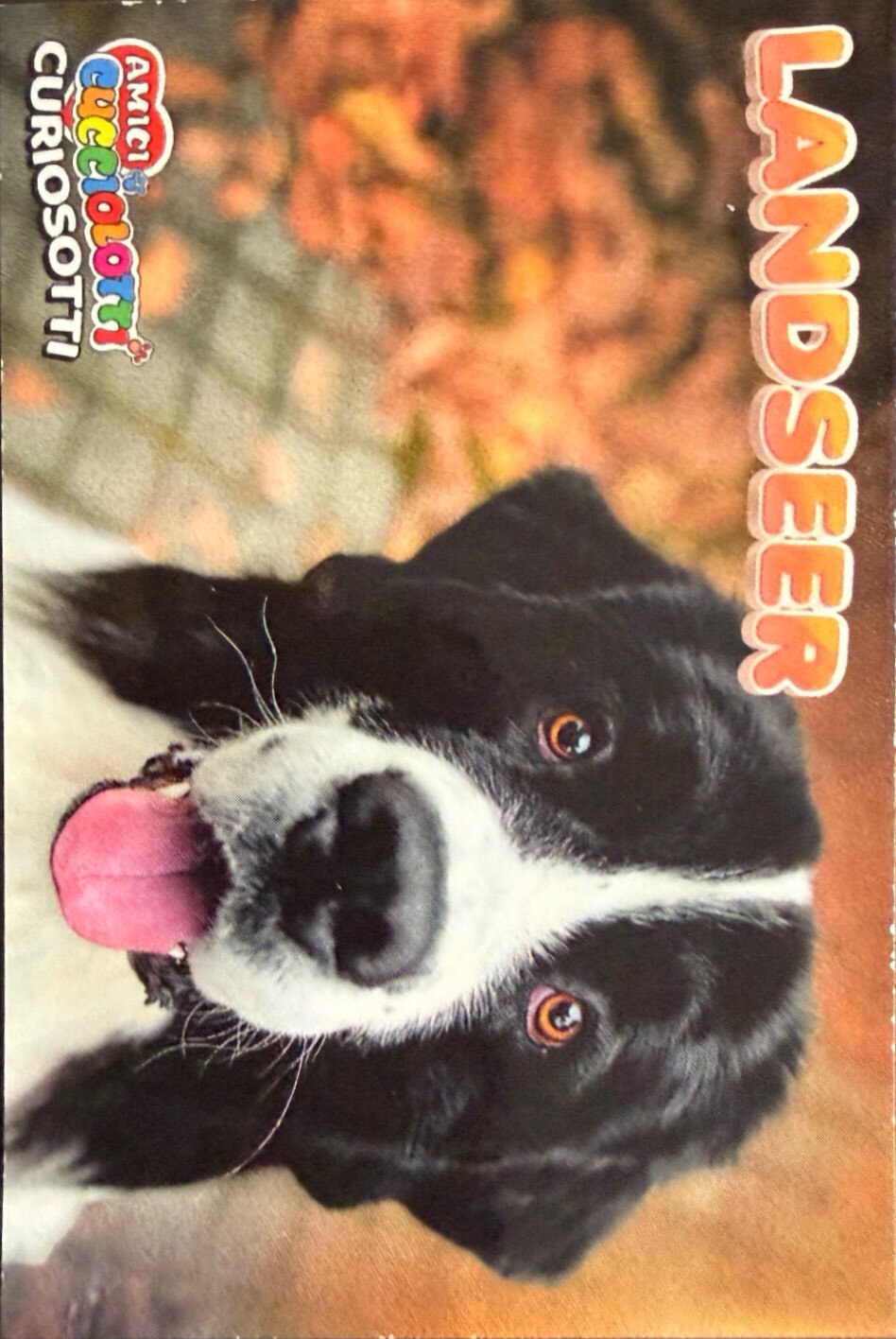 Amici Cucciolotti 2026 Pizzardi Editore - Figurine a scelta da 251 a 460 MD MS Tattoo