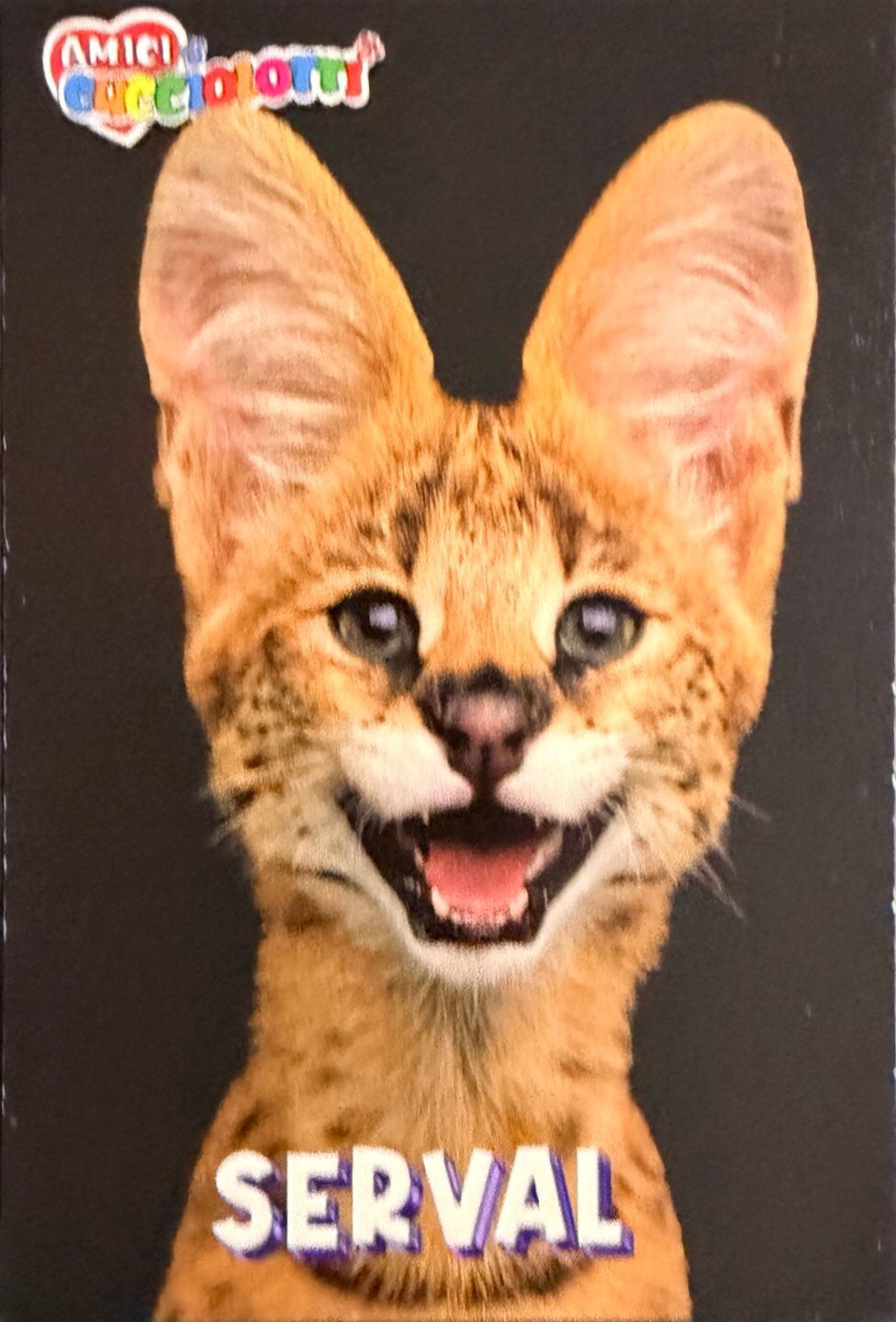 Amici Cucciolotti 2026 Pizzardi Editore - Figurine a scelta da 251 a 460 MD MS Tattoo