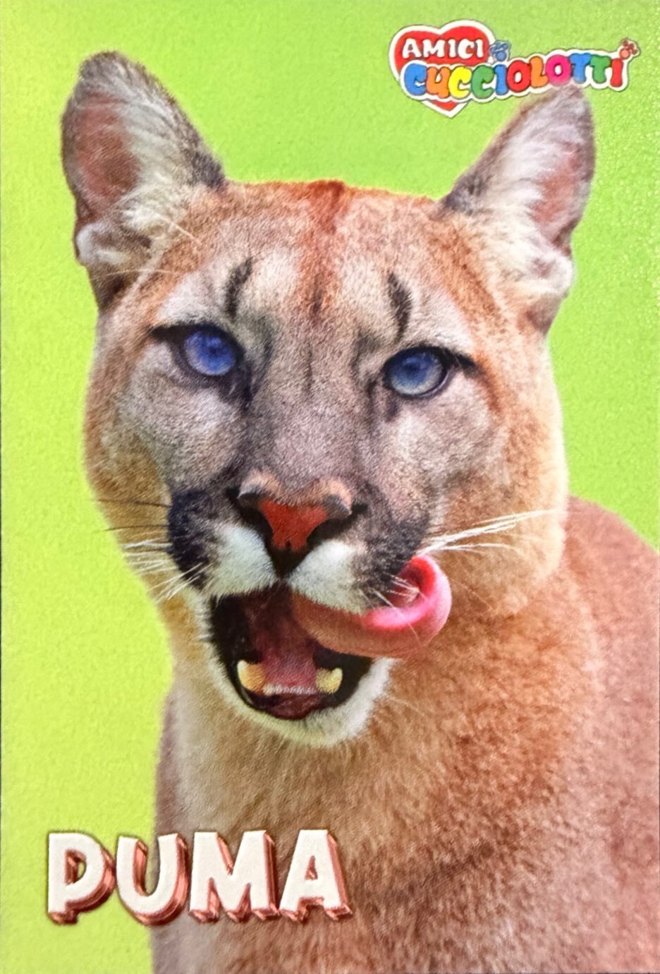 Amici Cucciolotti 2026 Pizzardi Editore - Figurine a scelta da 251 a 460 MD MS Tattoo