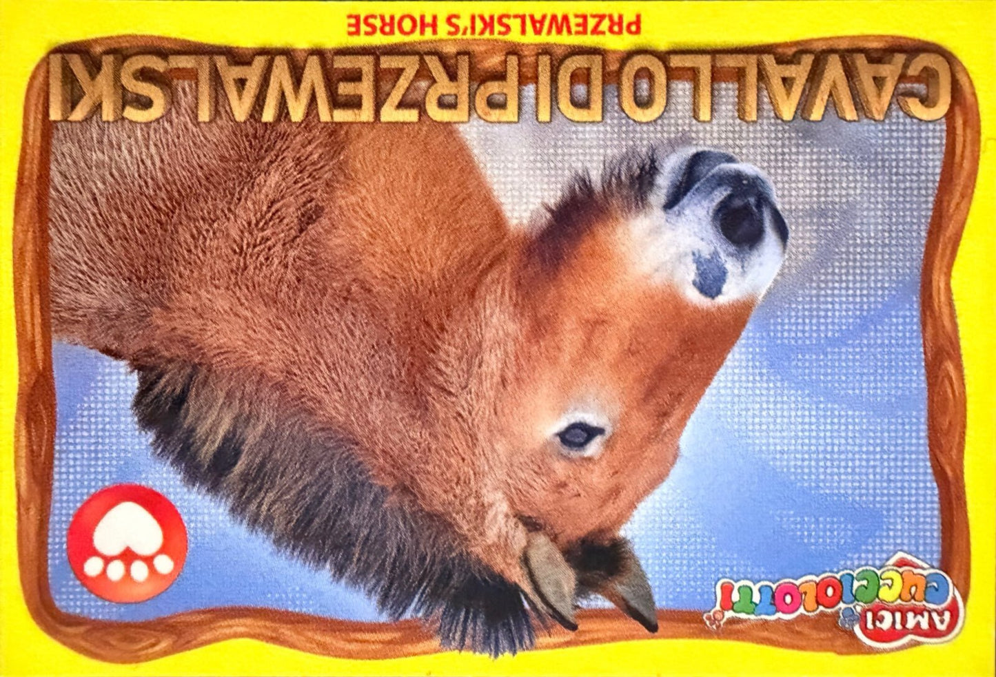 Amici Cucciolotti 2026 Pizzardi Editore - Figurine a Scelta 1-250