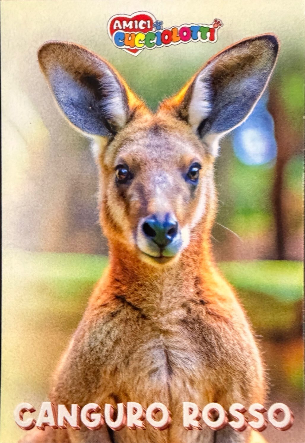 Amici Cucciolotti 2026 Pizzardi Editore - Figurine a scelta da 251 a 460 MD MS Tattoo