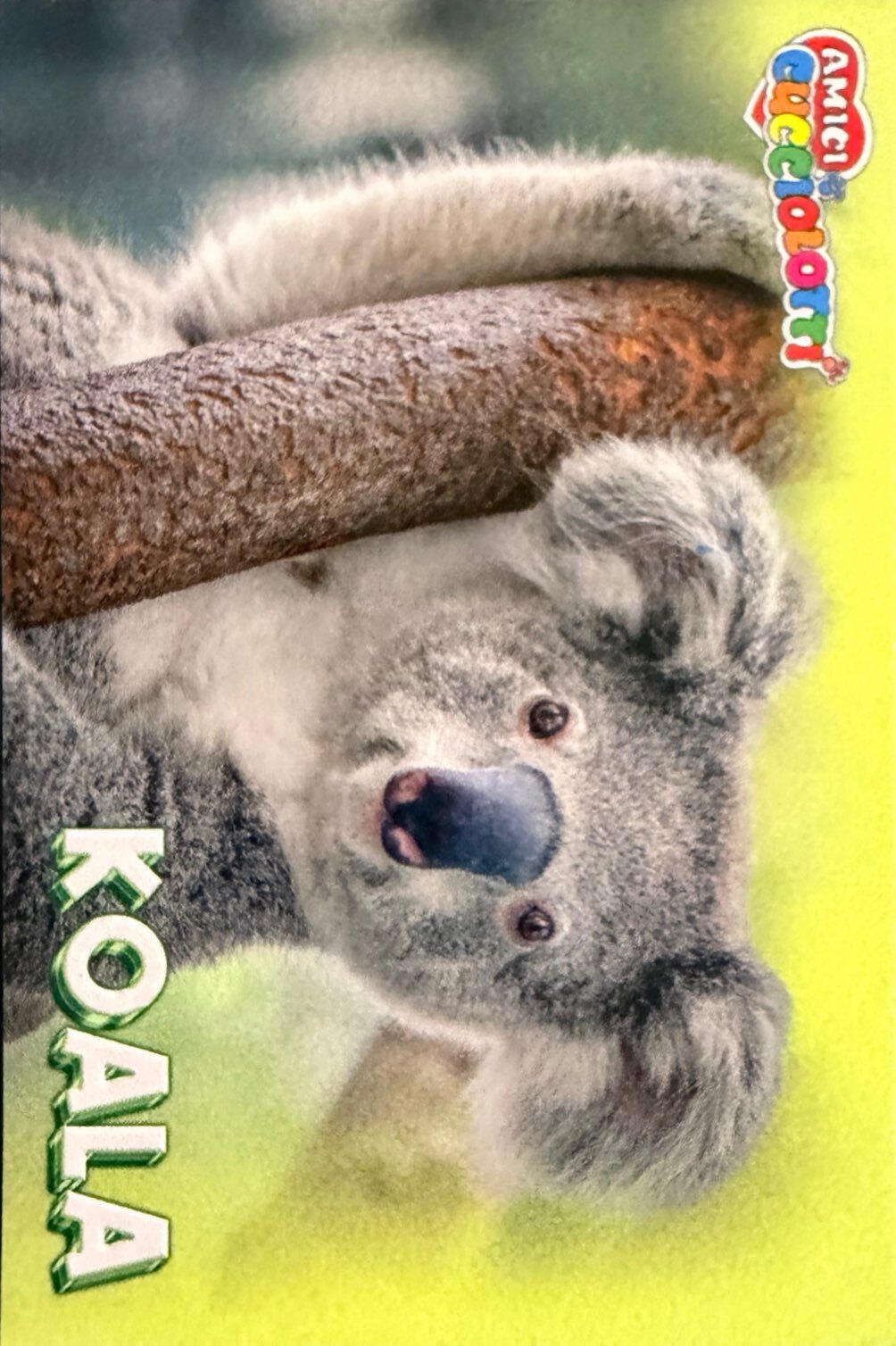 Amici Cucciolotti 2026 Pizzardi Editore - Figurine a scelta da 251 a 460 MD MS Tattoo