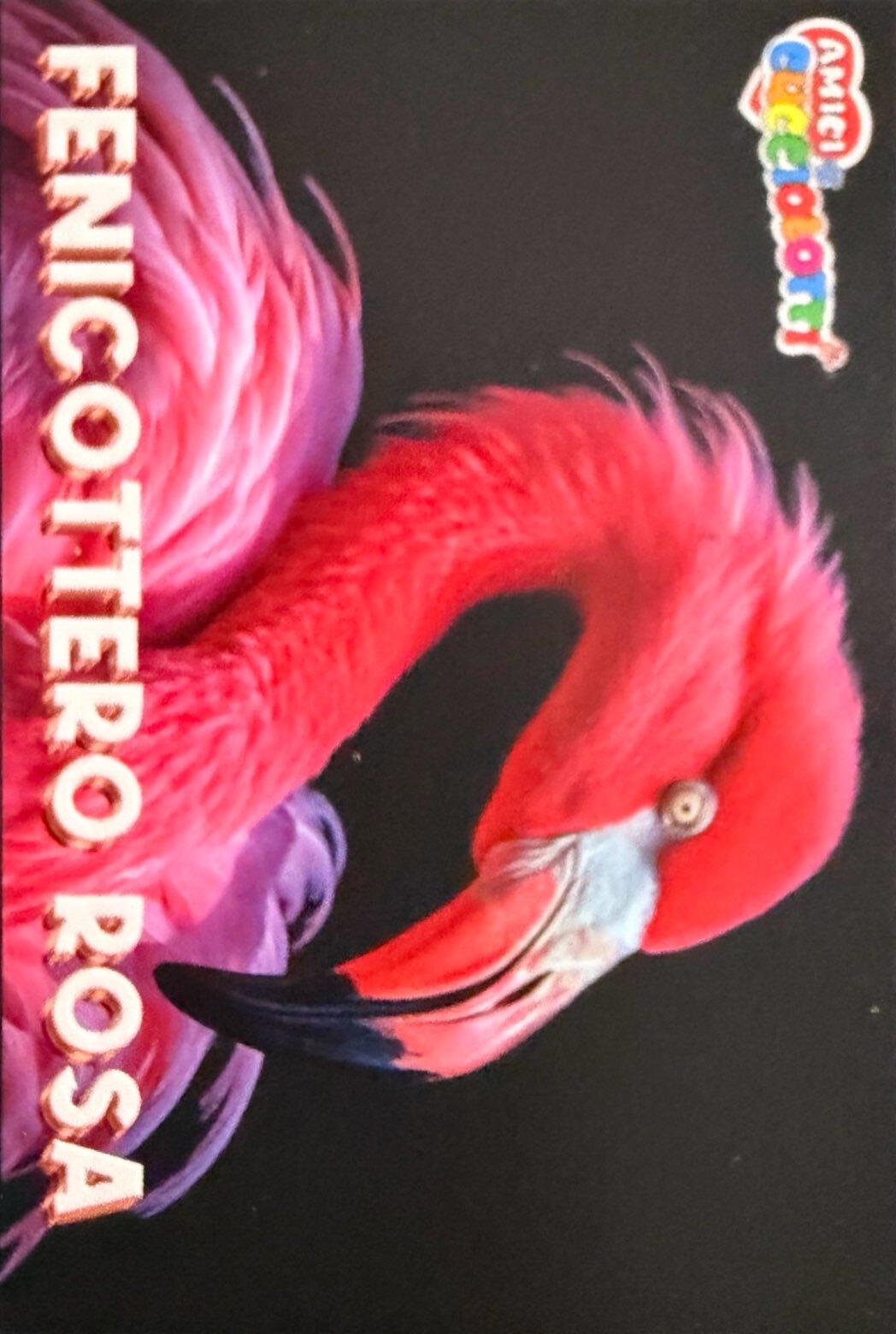 Amici Cucciolotti 2026 Pizzardi Editore - Figurine a scelta da 251 a 460 MD MS Tattoo