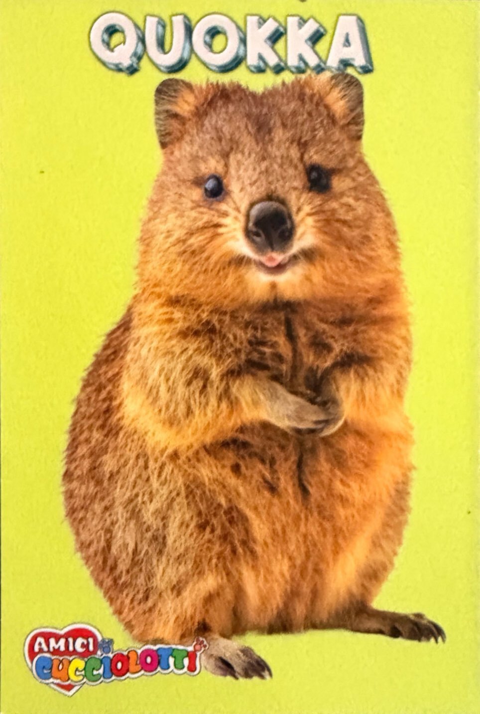 Amici Cucciolotti 2026 Pizzardi Editore - Figurine a scelta da 251 a 460 MD MS Tattoo