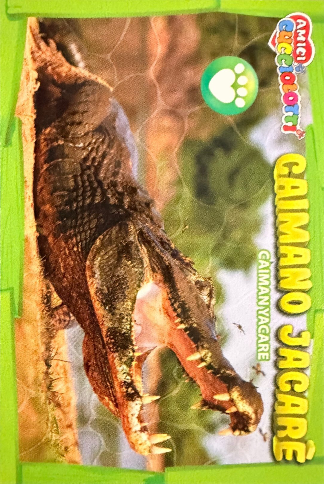 Amici Cucciolotti 2026 Pizzardi Editore - Figurine a scelta da 251 a 460 MD MS Tattoo