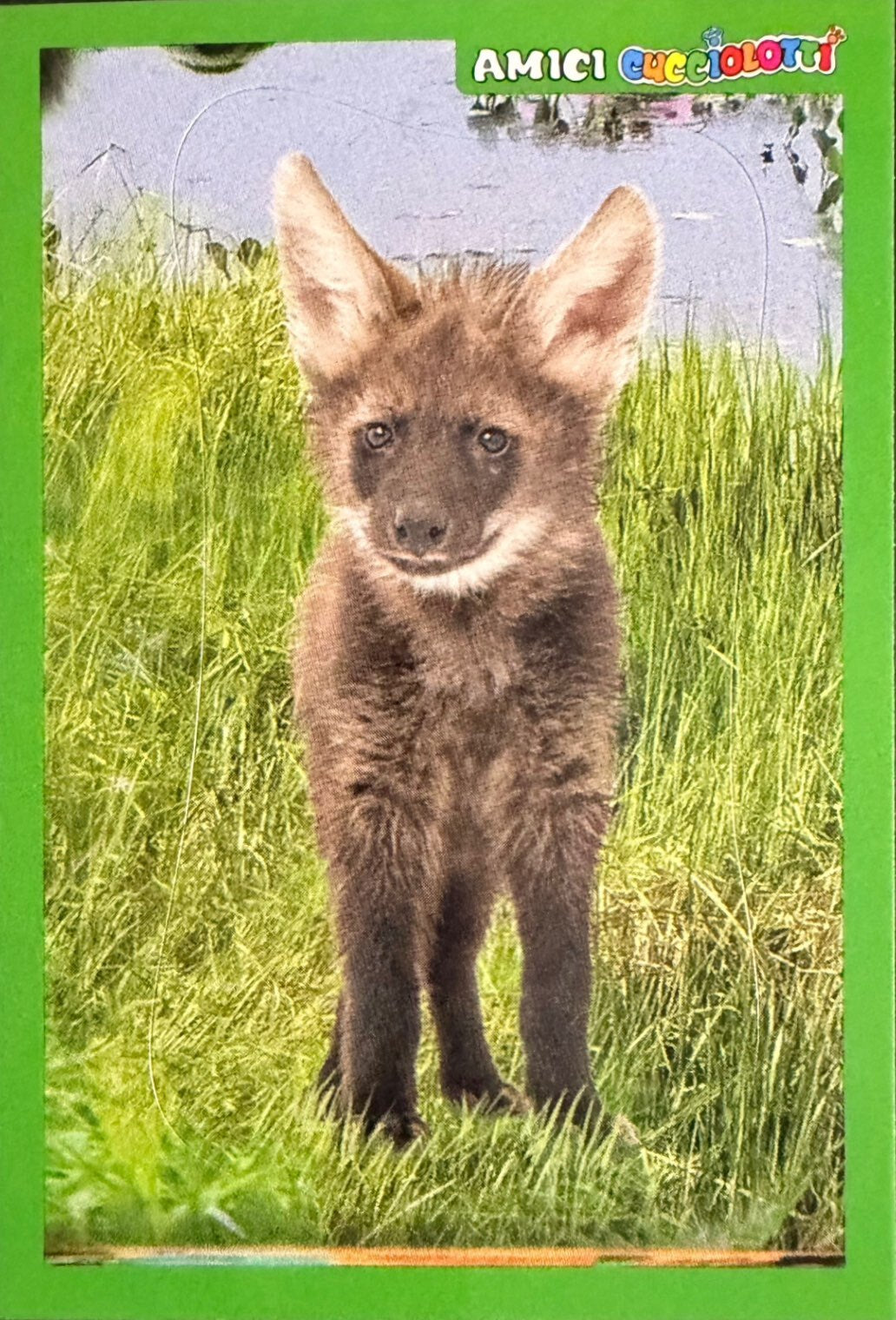 Amici Cucciolotti 2026 Pizzardi Editore - Figurine a scelta da 251 a 460 MD MS Tattoo