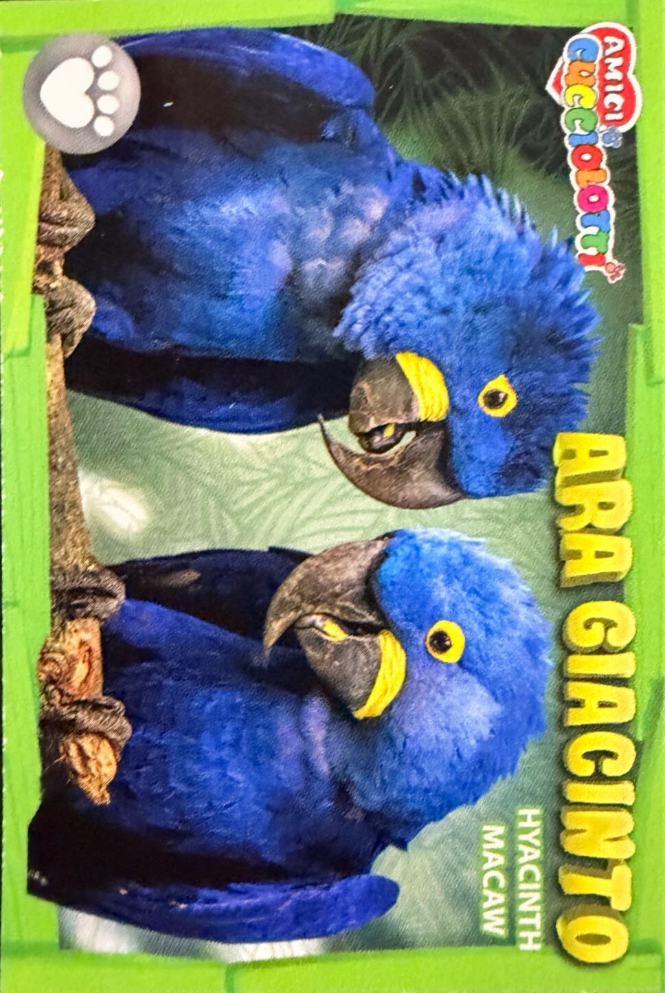 Amici Cucciolotti 2026 Pizzardi Editore - Figurine a scelta da 251 a 460 MD MS Tattoo