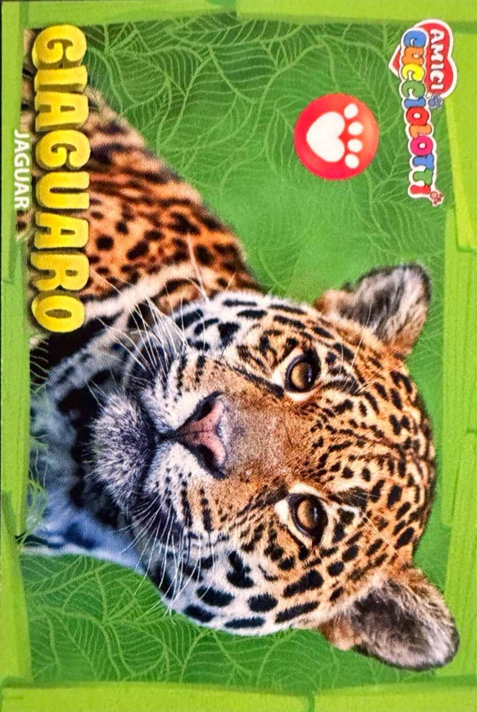 Amici Cucciolotti 2026 Pizzardi Editore - Figurine a scelta da 251 a 460 MD MS Tattoo