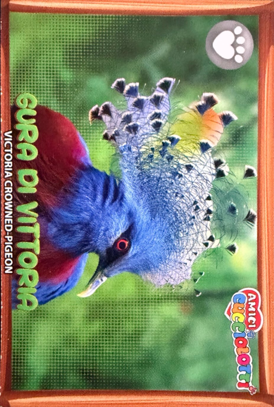 Amici Cucciolotti 2026 Pizzardi Editore - Figurine a scelta da 251 a 460 MD MS Tattoo