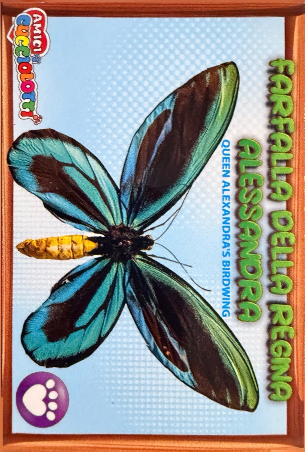 Amici Cucciolotti 2026 Pizzardi Editore - Figurine a scelta da 251 a 460 MD MS Tattoo