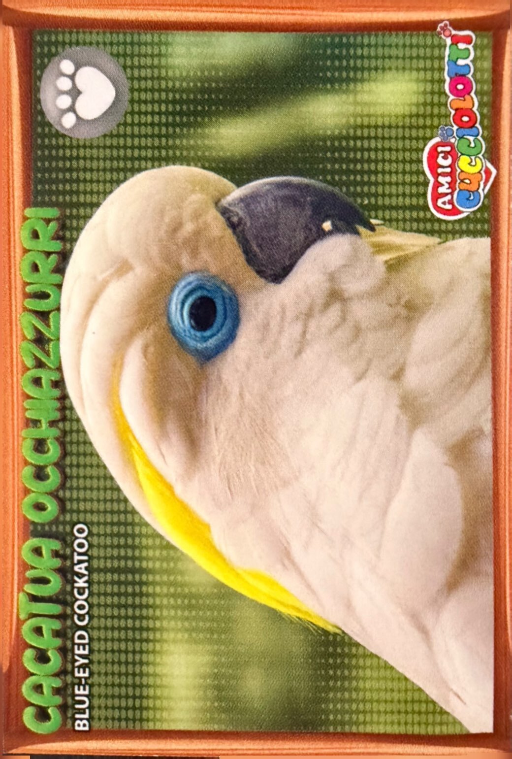 Amici Cucciolotti 2026 Pizzardi Editore - Figurine a scelta da 251 a 460 MD MS Tattoo