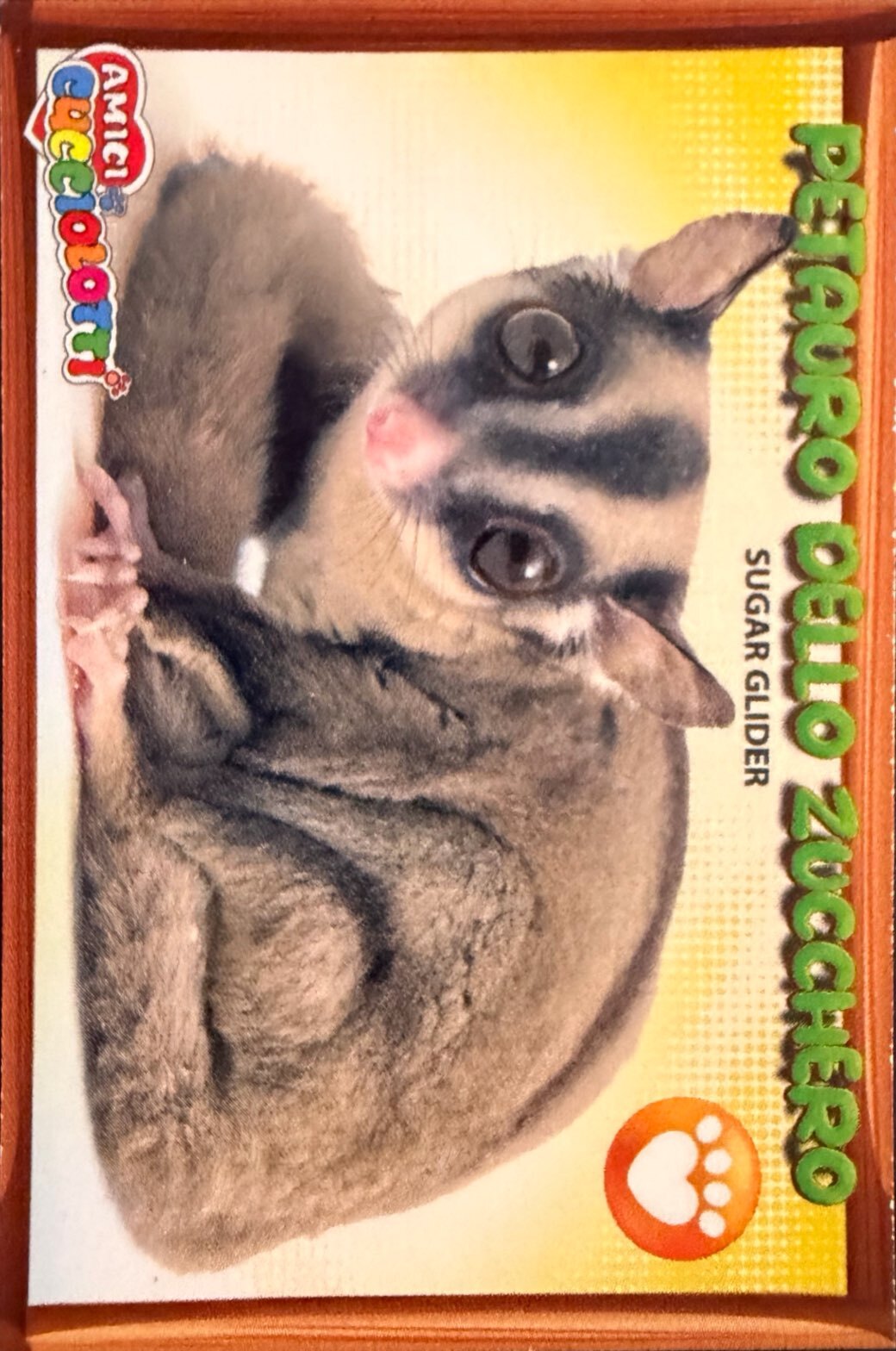 Amici Cucciolotti 2026 Pizzardi Editore - Figurine a scelta da 251 a 460 MD MS Tattoo