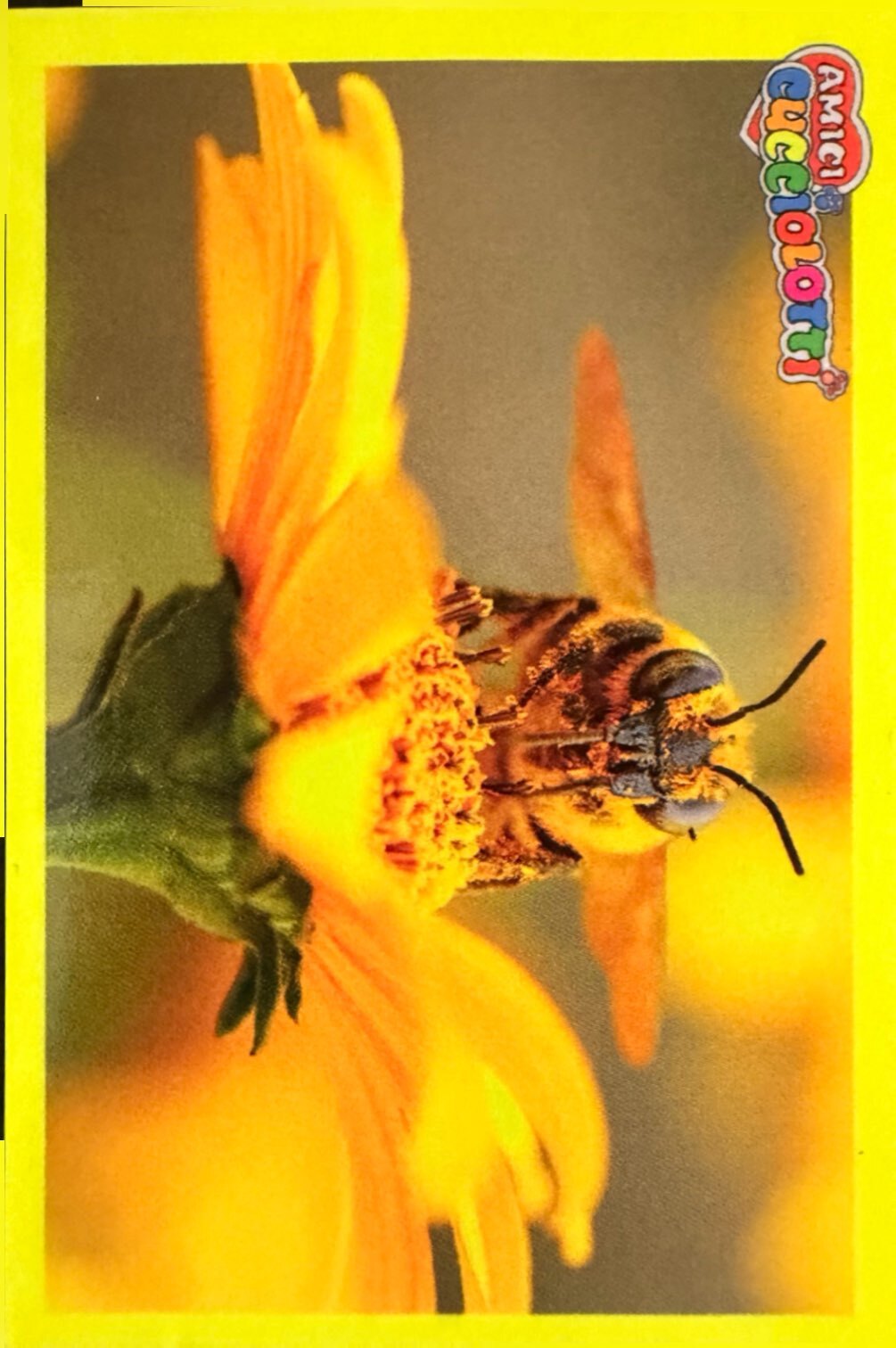 Amici Cucciolotti 2026 Pizzardi Editore - Figurine a scelta da 251 a 460 MD MS Tattoo