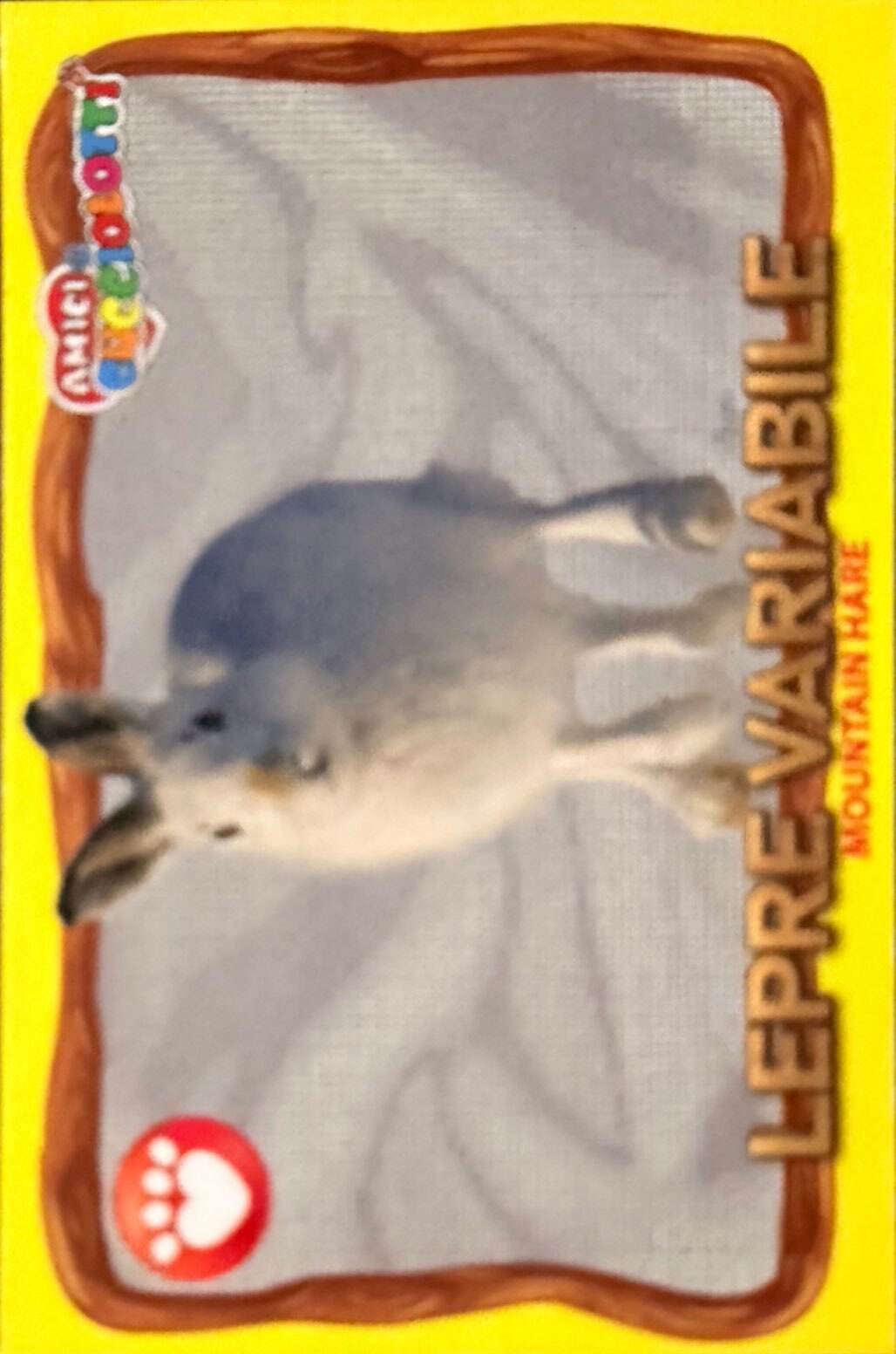 Amici Cucciolotti 2026 Pizzardi Editore - Figurine a Scelta 1-250