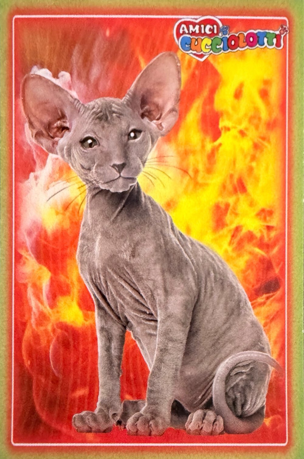 Amici Cucciolotti 2026 Pizzardi Editore - Figurine a scelta da 251 a 460 MD MS Tattoo