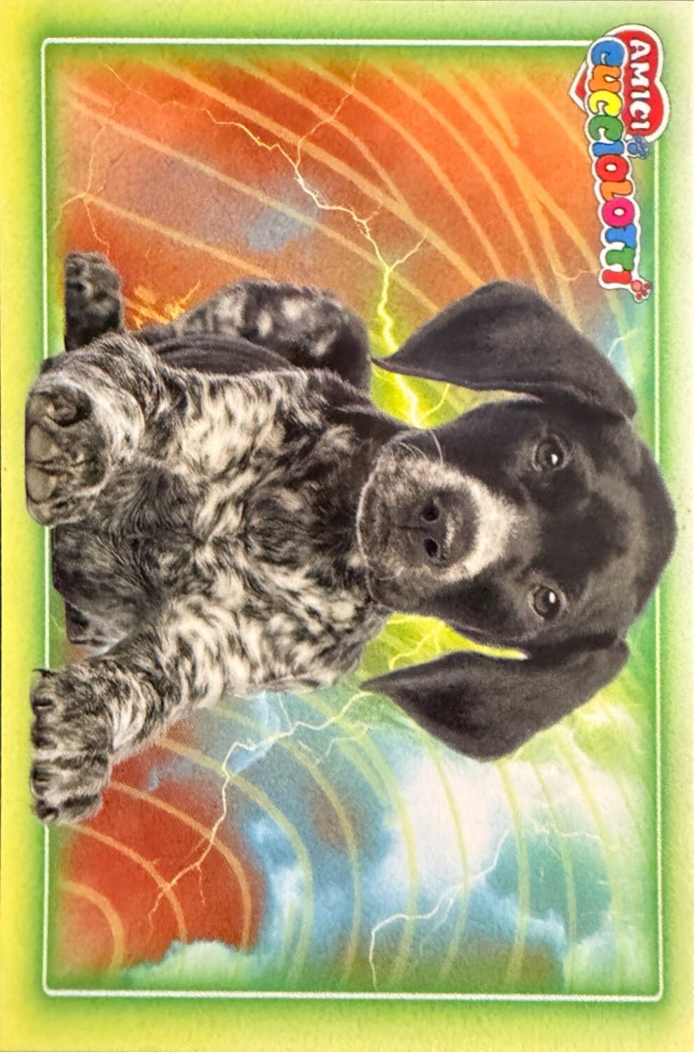 Amici Cucciolotti 2026 Pizzardi Editore - Figurine a scelta da 251 a 460 MD MS Tattoo