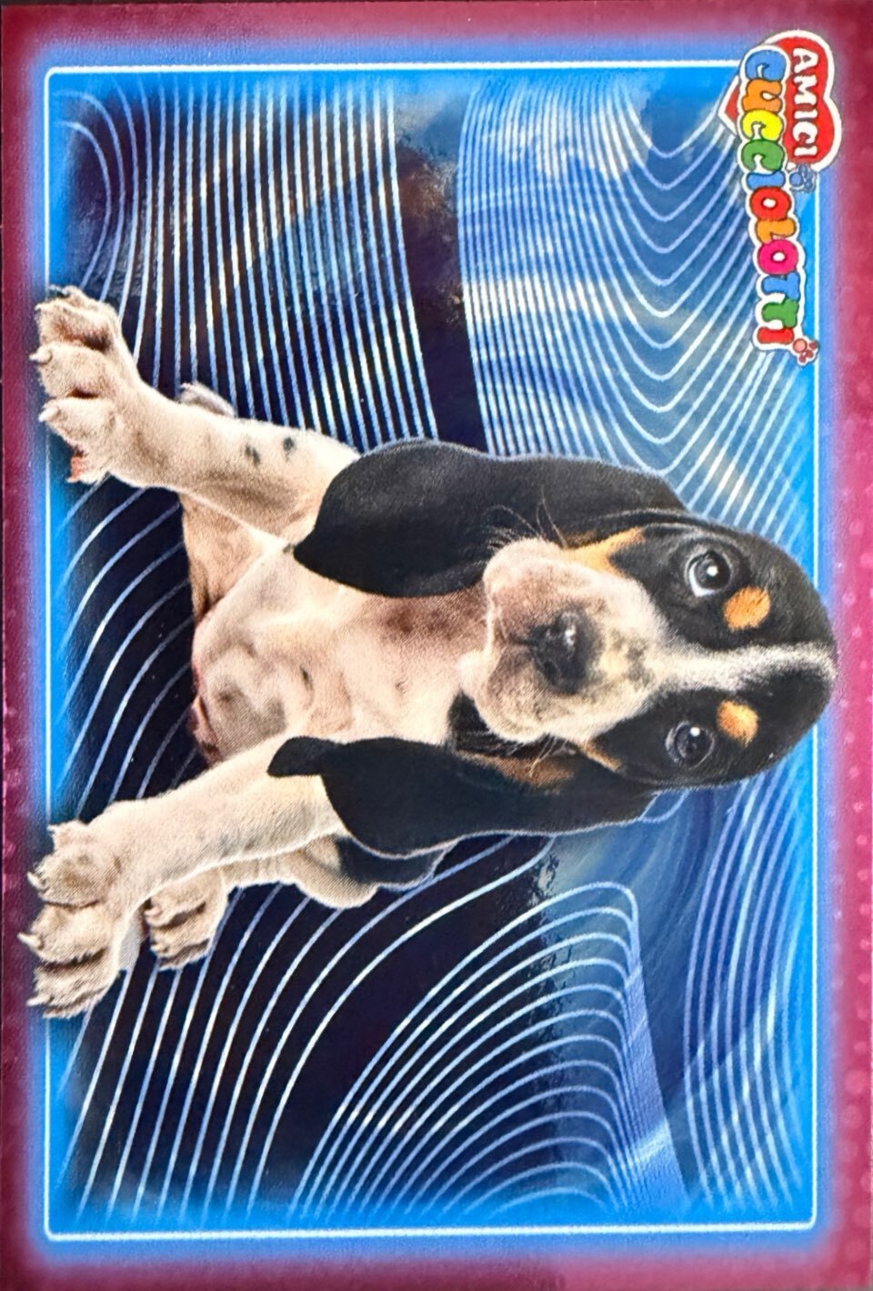 Amici Cucciolotti 2026 Pizzardi Editore - Figurine a scelta da 251 a 460 MD MS Tattoo