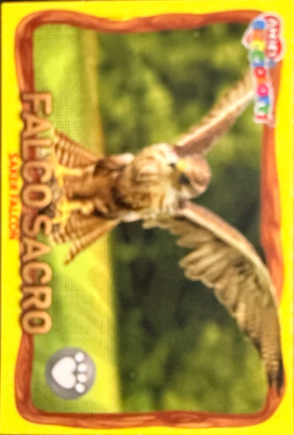 Amici Cucciolotti 2026 Pizzardi Editore - Figurine a Scelta 1-250