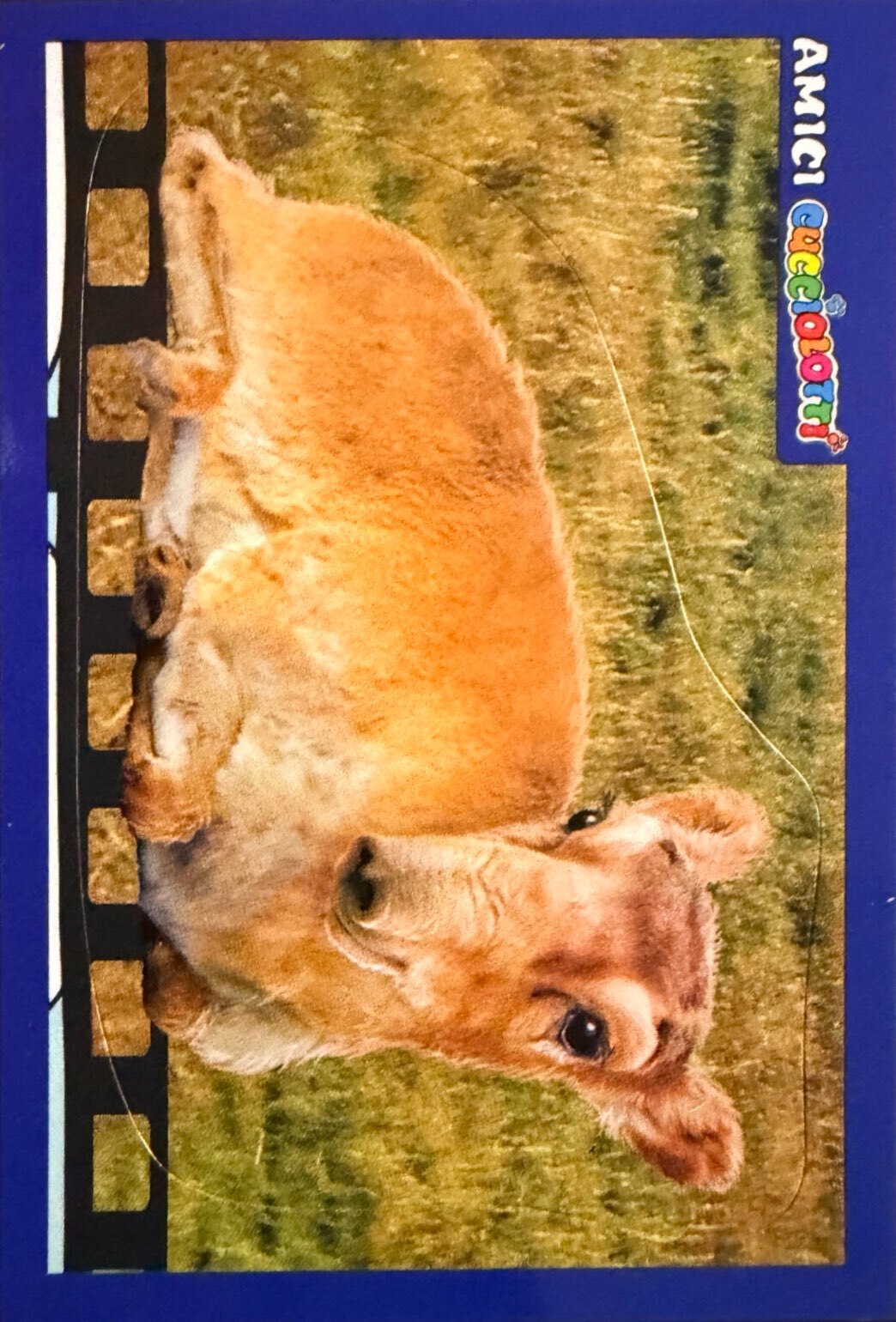 Amici Cucciolotti 2026 Pizzardi Editore - Figurine a Scelta 1-250