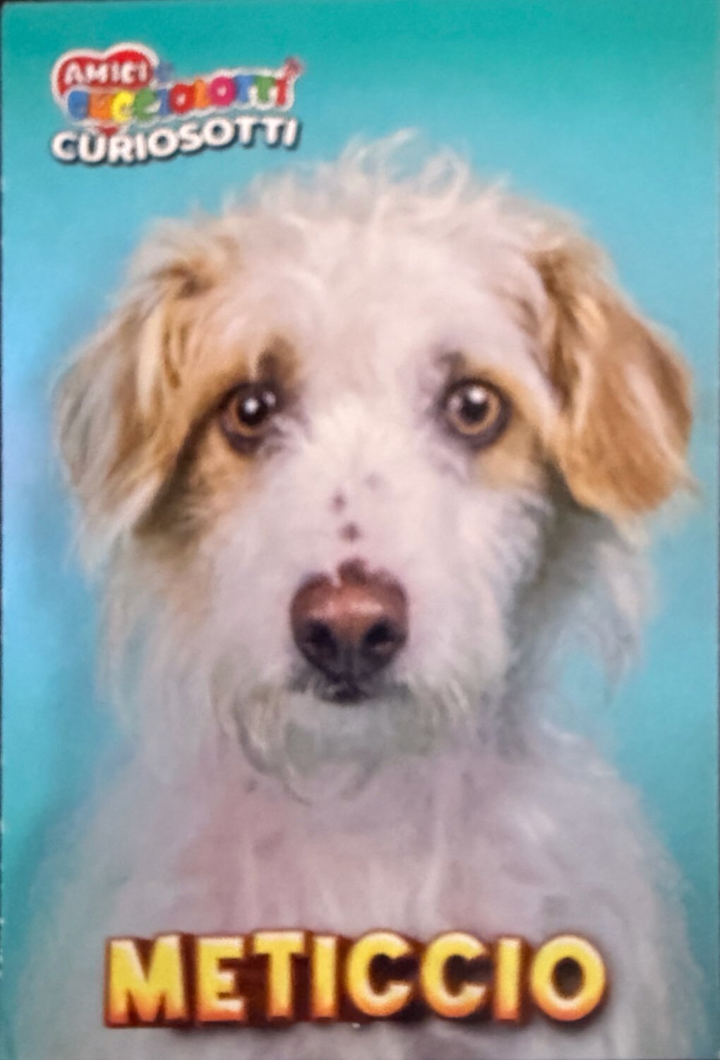 Amici Cucciolotti 2026 Pizzardi Editore - Figurine a Scelta 1-250