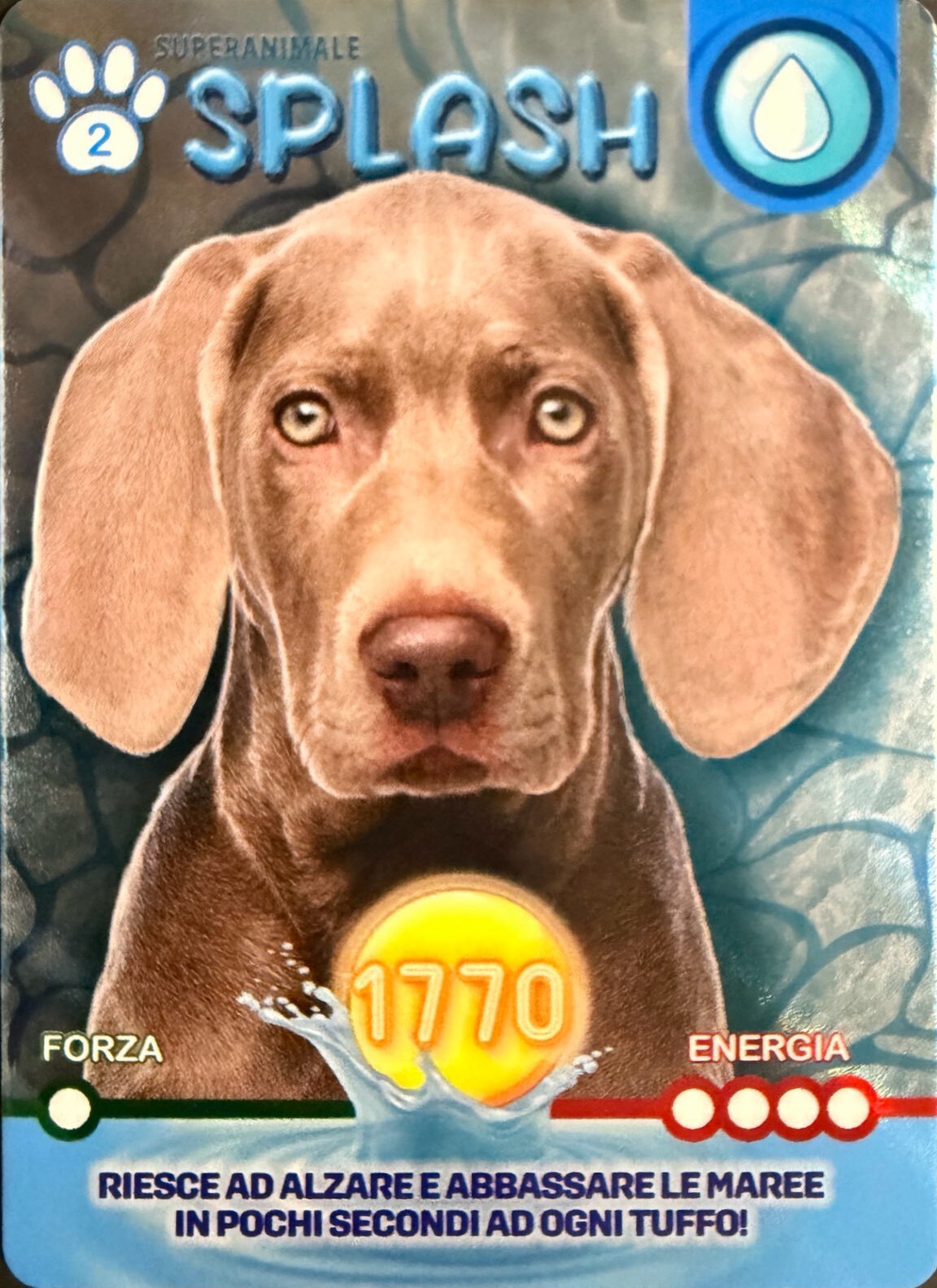 Amici Cucciolotti 2026 Pizzardi Editore - Card a scelta da 1 a 80