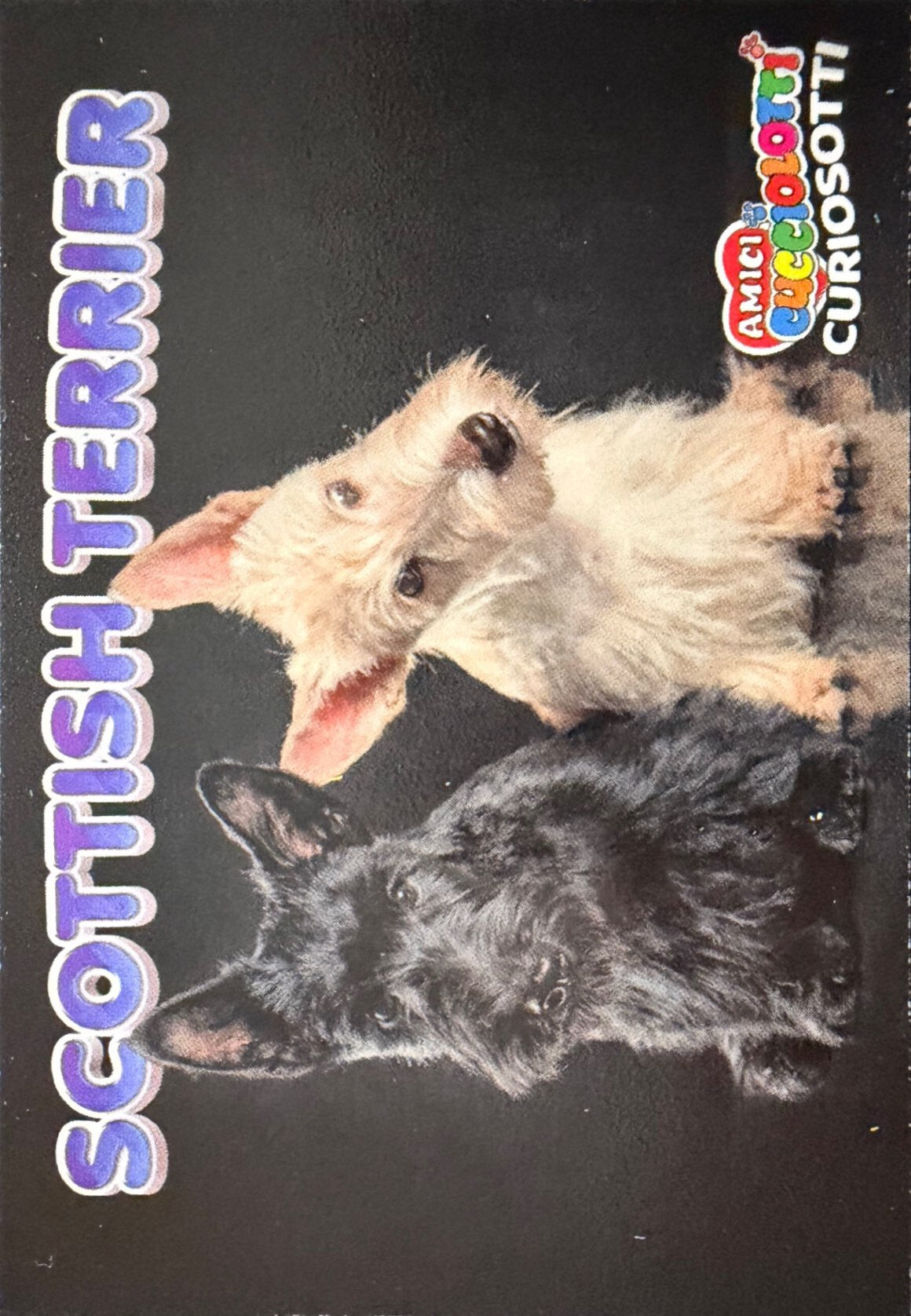 Amici Cucciolotti 2026 Pizzardi Editore - Figurine a Scelta 1-250