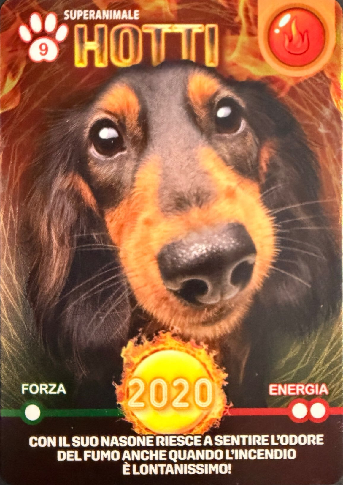 Amici Cucciolotti 2026 Pizzardi Editore - Card a scelta da 1 a 80