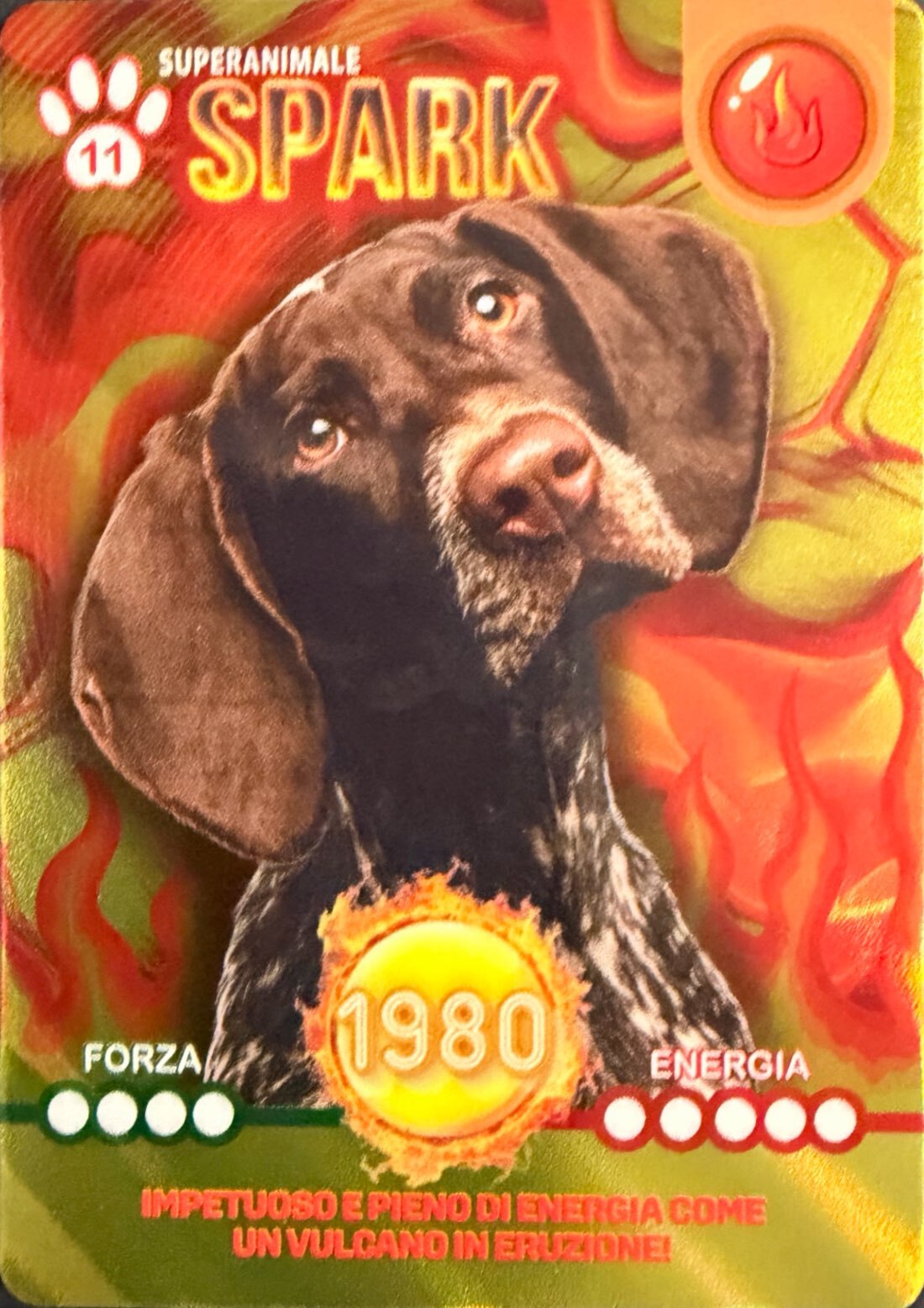 Amici Cucciolotti 2026 Pizzardi Editore - Card a scelta da 1 a 80