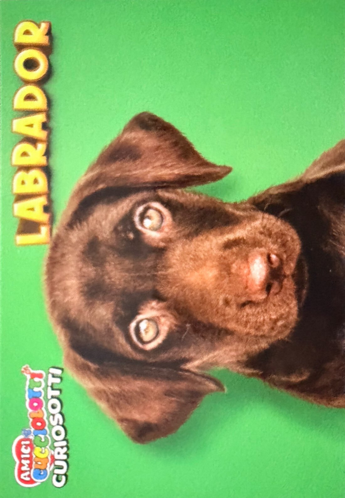 Amici Cucciolotti 2026 Pizzardi Editore - Figurine a Scelta 1-250