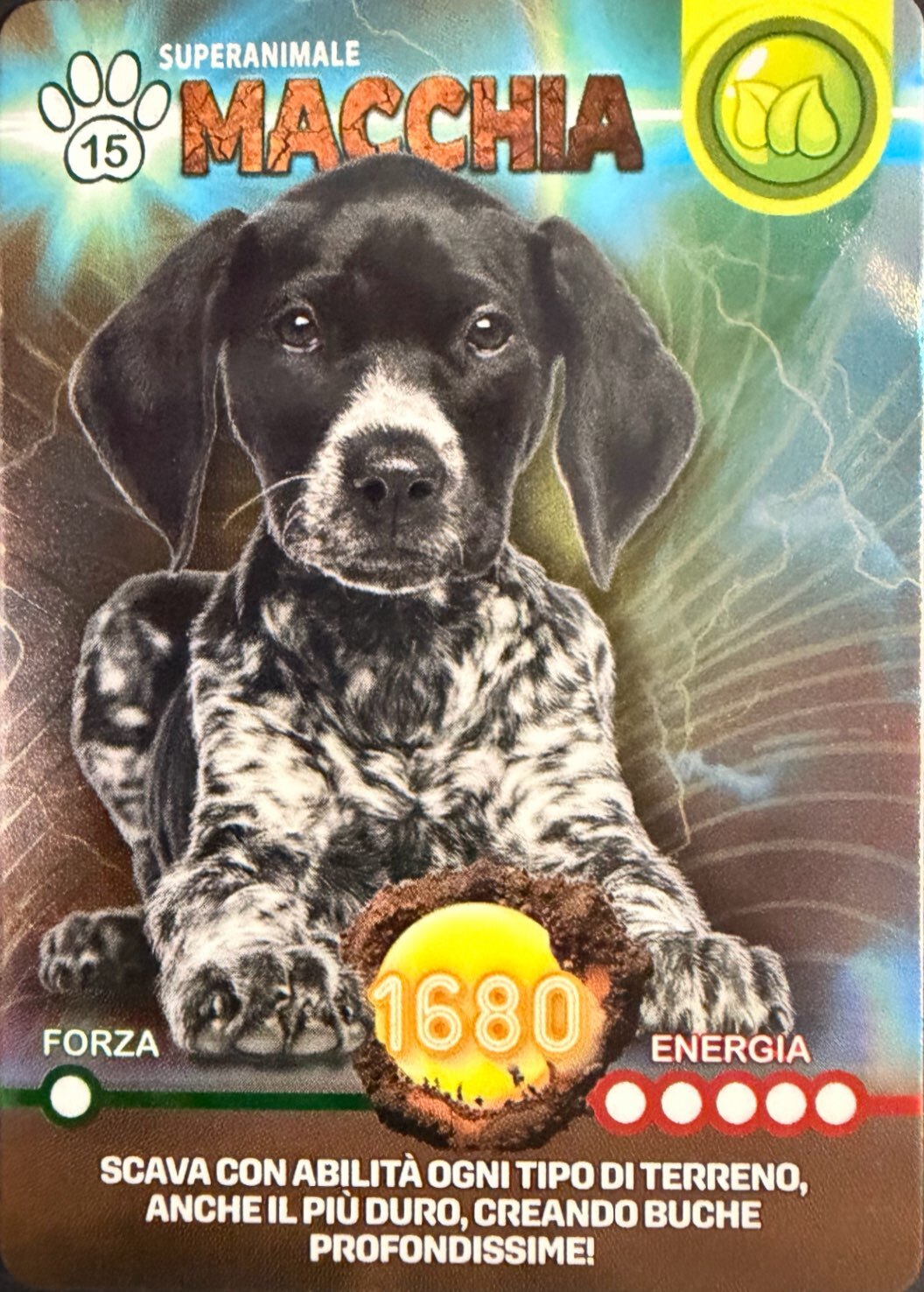 Amici Cucciolotti 2026 Pizzardi Editore - Card a scelta da 1 a 80