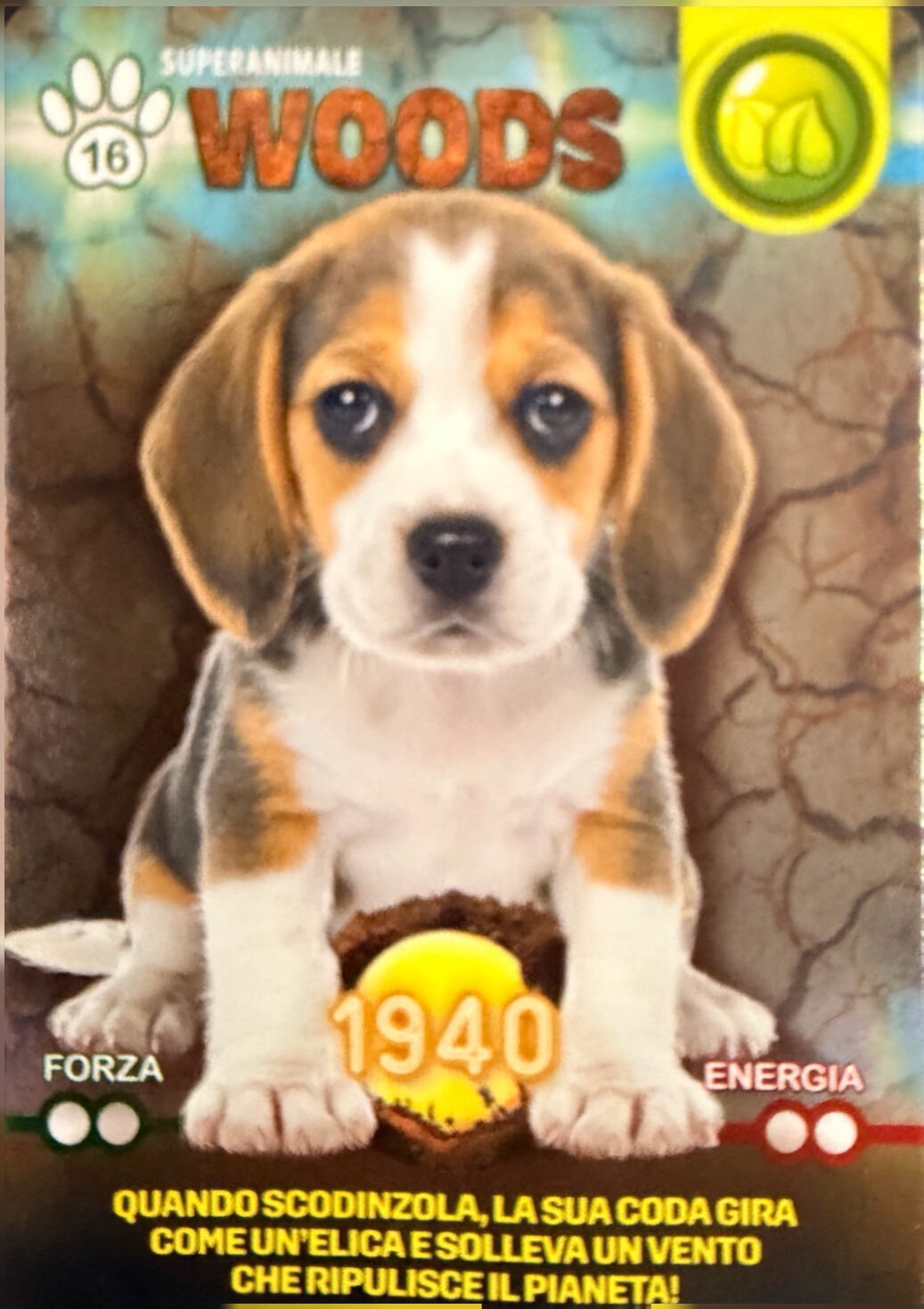 Amici Cucciolotti 2026 Pizzardi Editore - Card a scelta da 1 a 80