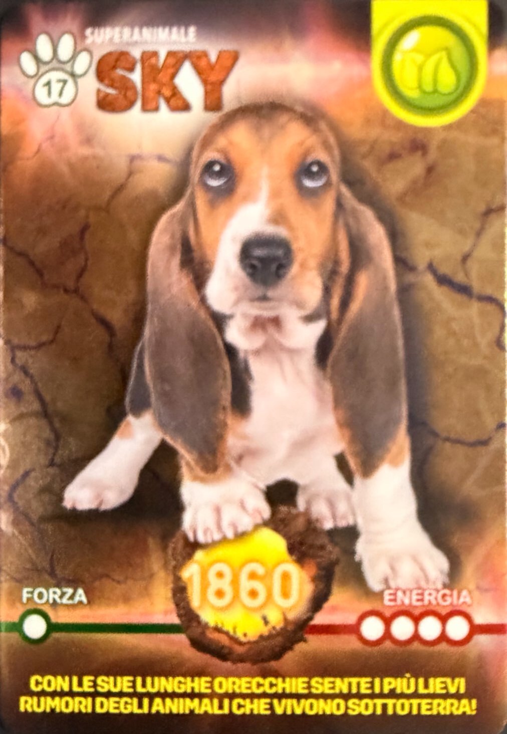 Amici Cucciolotti 2026 Pizzardi Editore - Card a scelta da 1 a 80