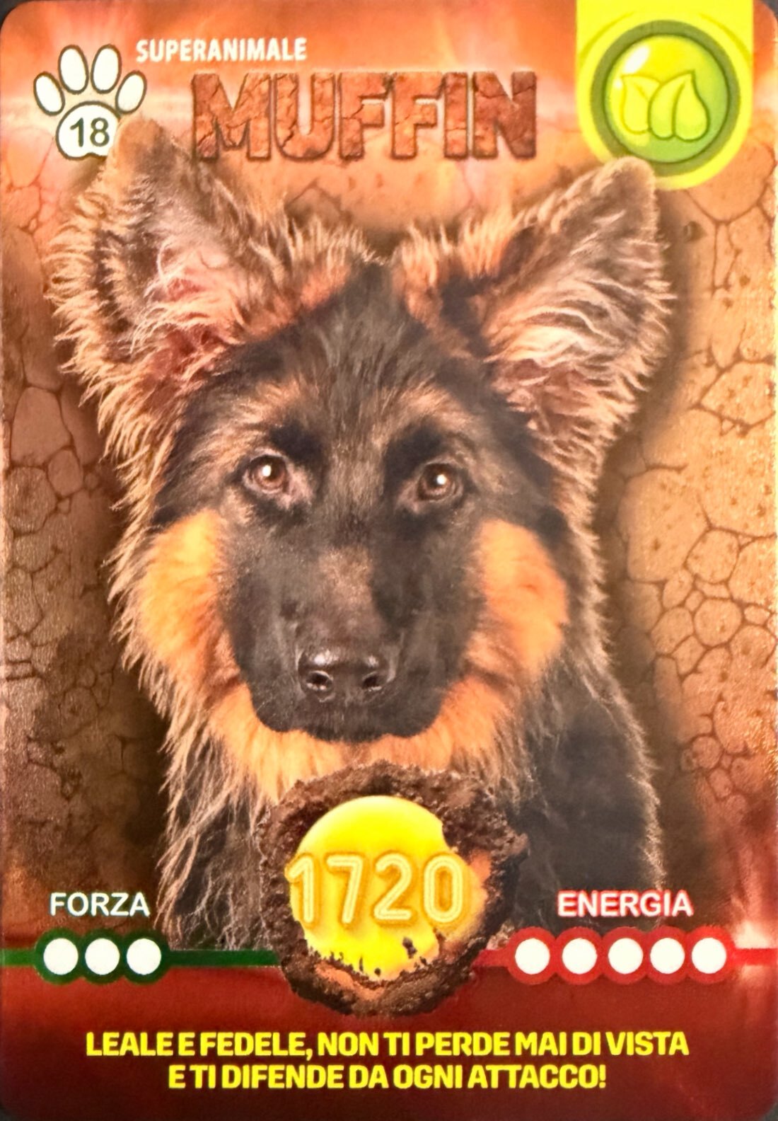 Amici Cucciolotti 2026 Pizzardi Editore - Card a scelta da 1 a 80