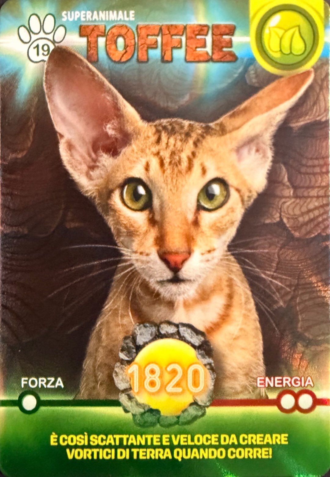 Amici Cucciolotti 2026 Pizzardi Editore - Card a scelta da 1 a 80