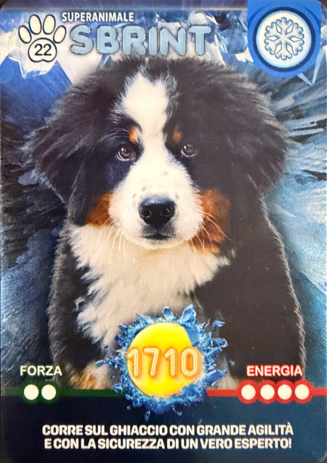 Amici Cucciolotti 2026 Pizzardi Editore - Card a scelta da 1 a 80