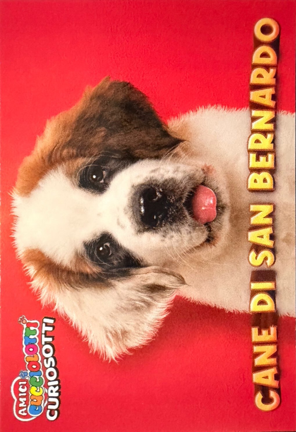 Amici Cucciolotti 2026 Pizzardi Editore - Figurine a Scelta 1-250