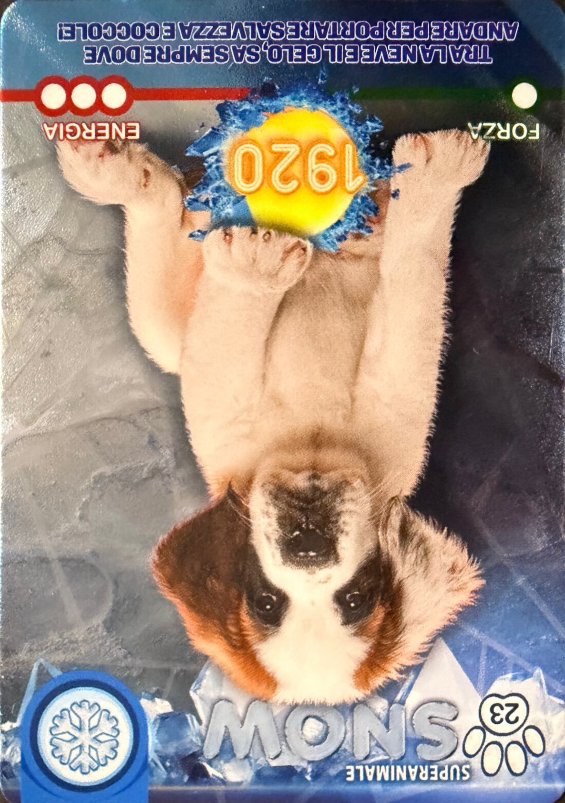 Amici Cucciolotti 2026 Pizzardi Editore - Card a scelta da 1 a 80