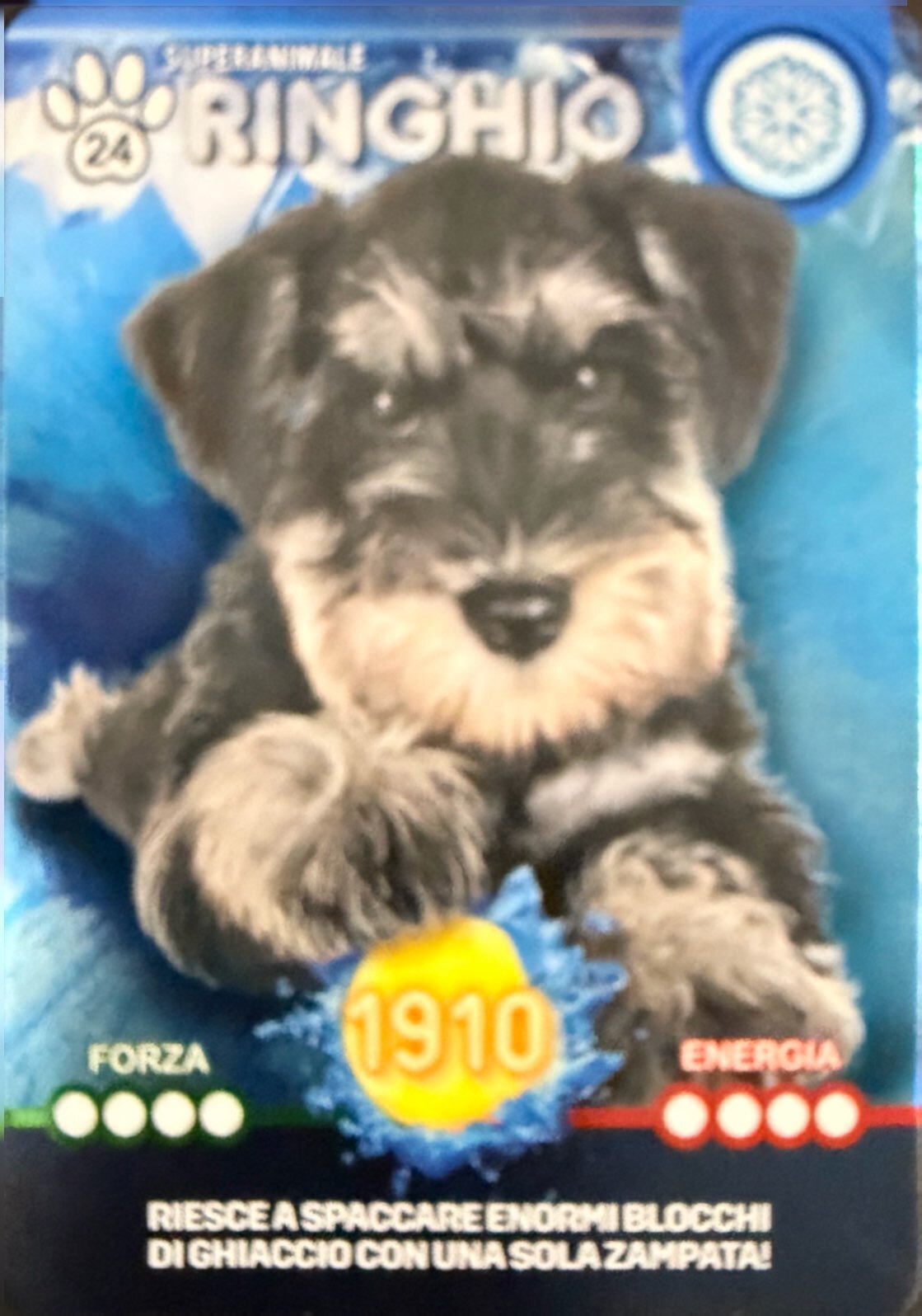 Amici Cucciolotti 2026 Pizzardi Editore - Card a scelta da 1 a 80