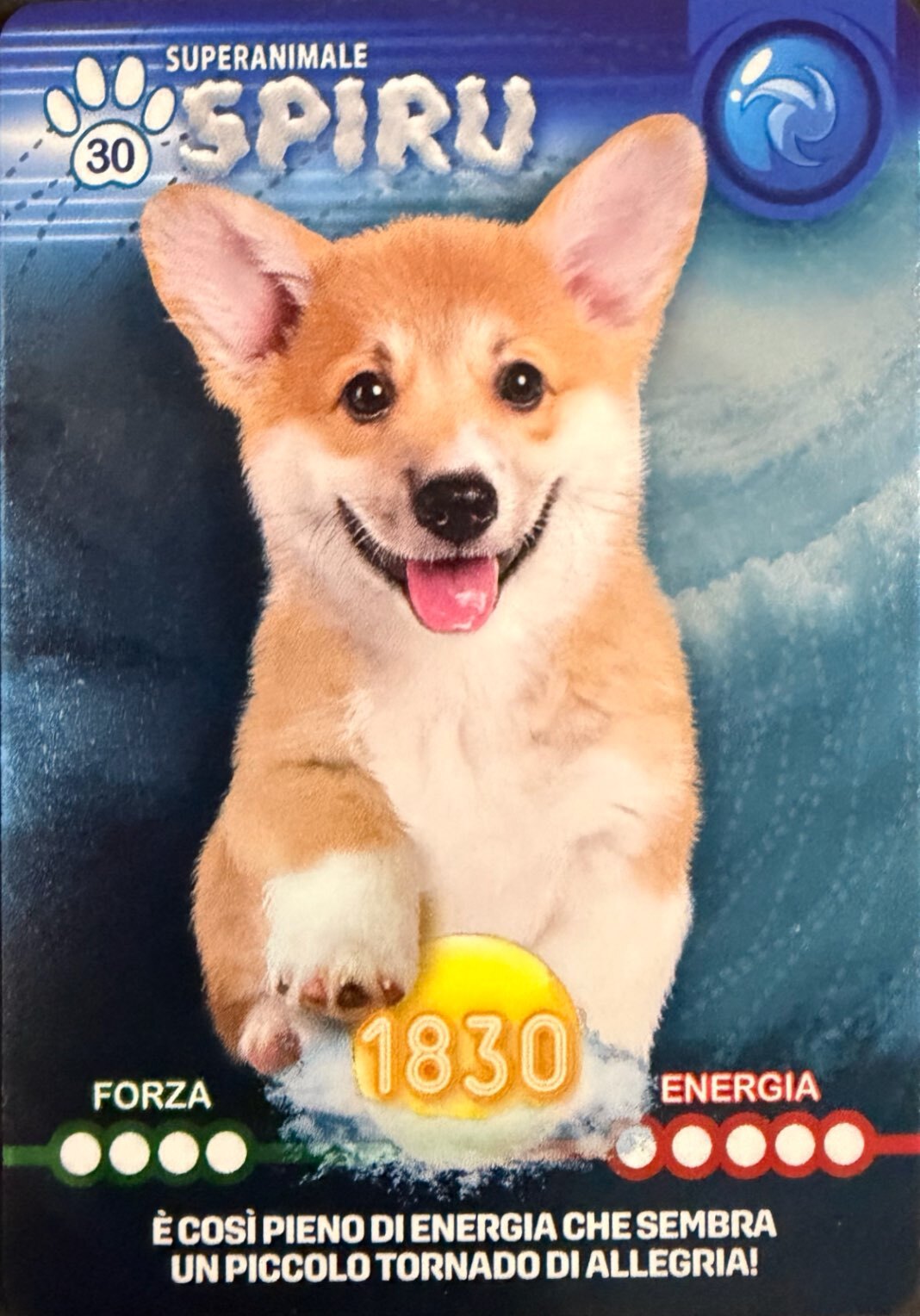 Amici Cucciolotti 2026 Pizzardi Editore - Card a scelta da 1 a 80