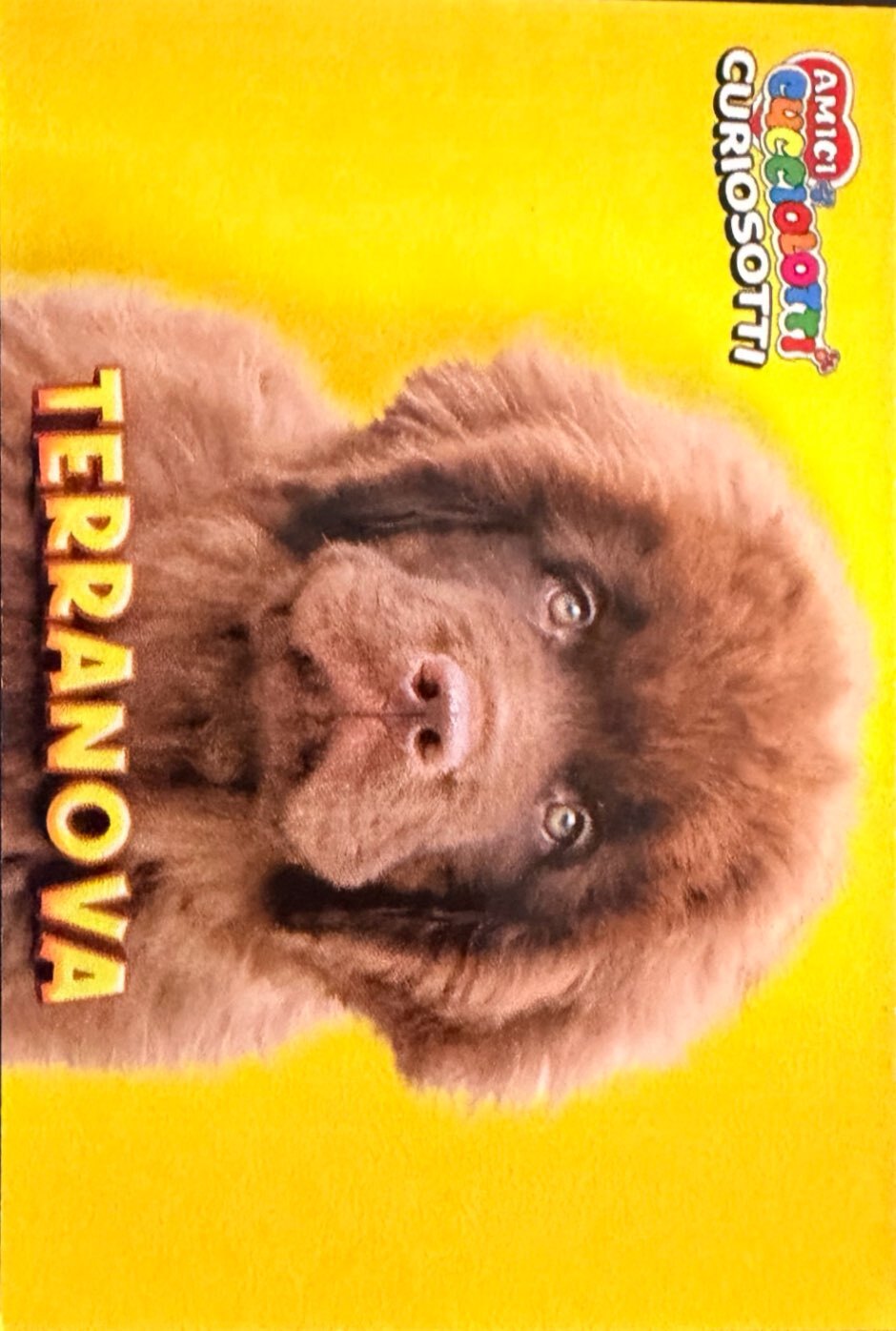 Amici Cucciolotti 2026 Pizzardi Editore - Figurine a Scelta 1-250