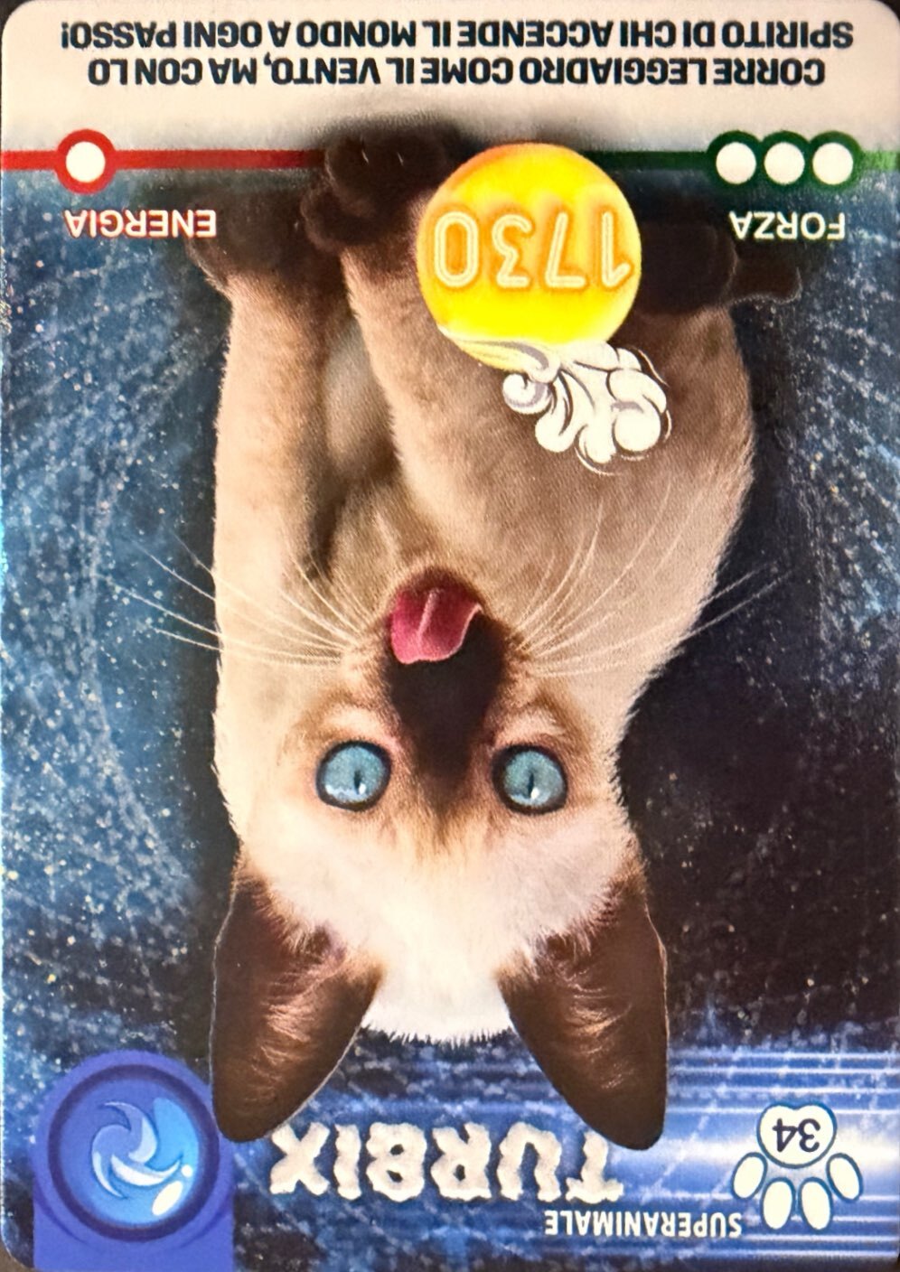 Amici Cucciolotti 2026 Pizzardi Editore - Card a scelta da 1 a 80