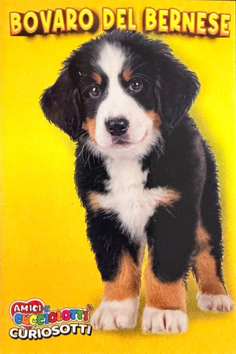 Amici Cucciolotti 2026 Pizzardi Editore - Figurine a Scelta 1-250