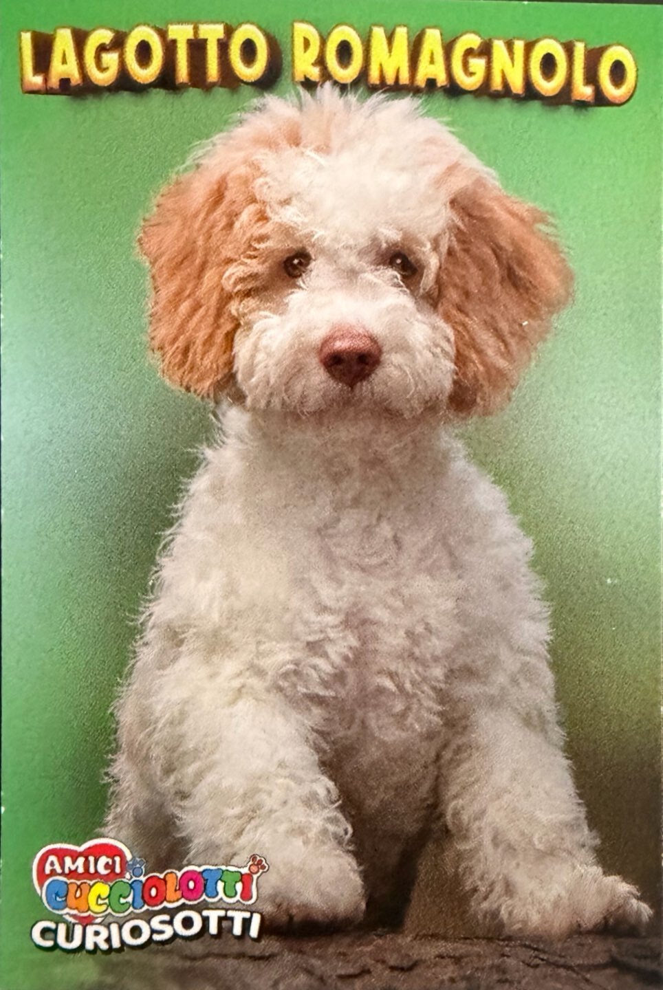 Amici Cucciolotti 2026 Pizzardi Editore - Figurine a Scelta 1-250