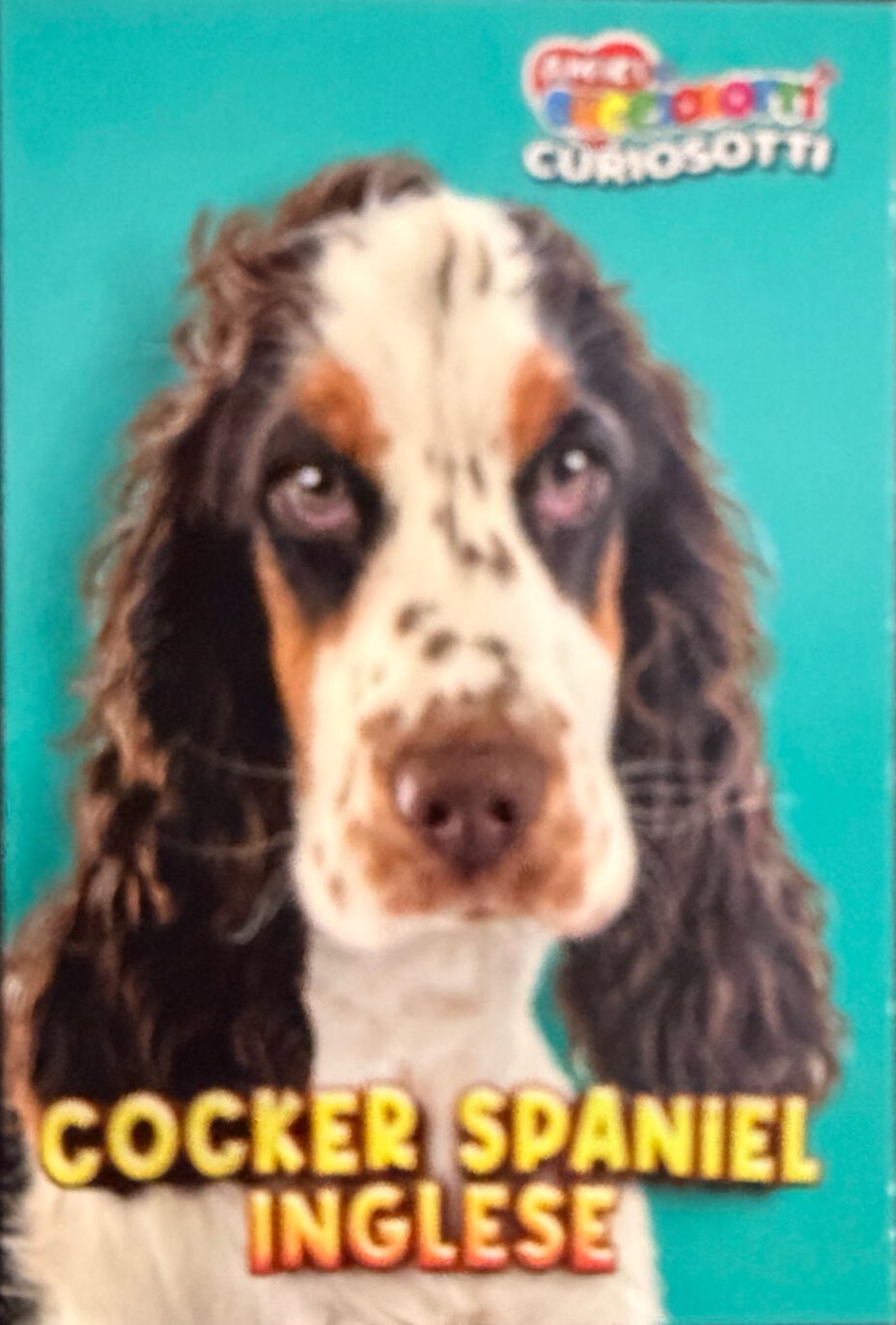 Amici Cucciolotti 2026 Pizzardi Editore - Figurine a Scelta 1-250