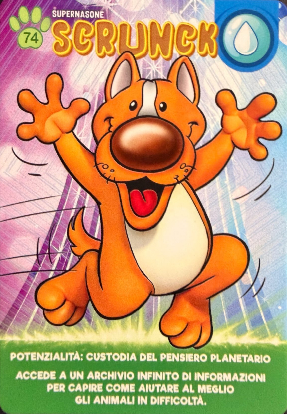 Amici Cucciolotti 2026 Pizzardi Editore - Card a scelta da 1 a 80