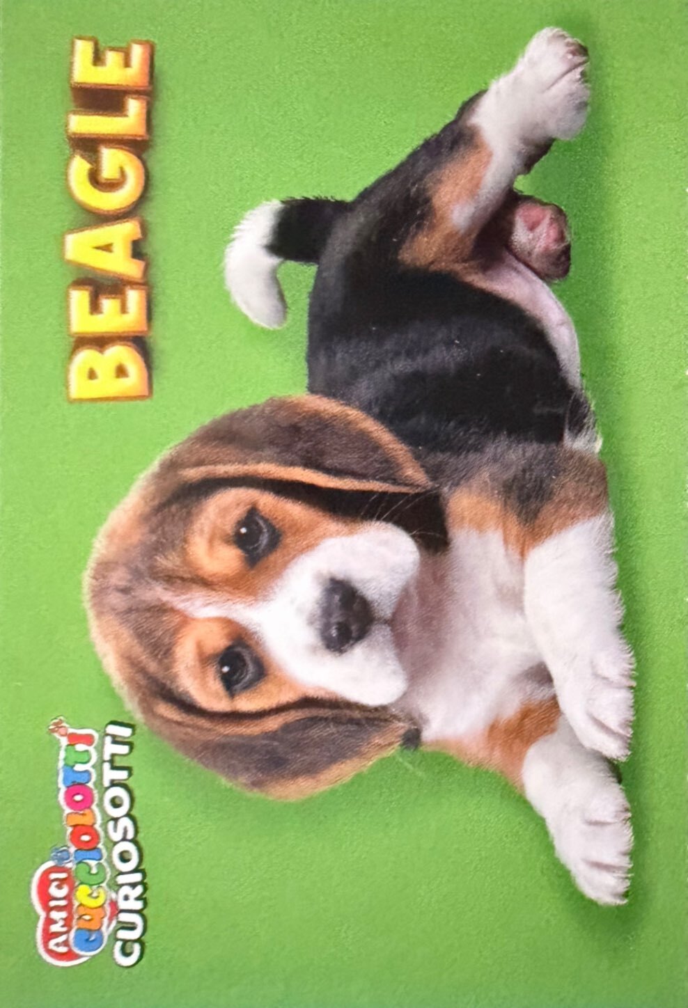 Amici Cucciolotti 2026 Pizzardi Editore - Figurine a Scelta 1-250