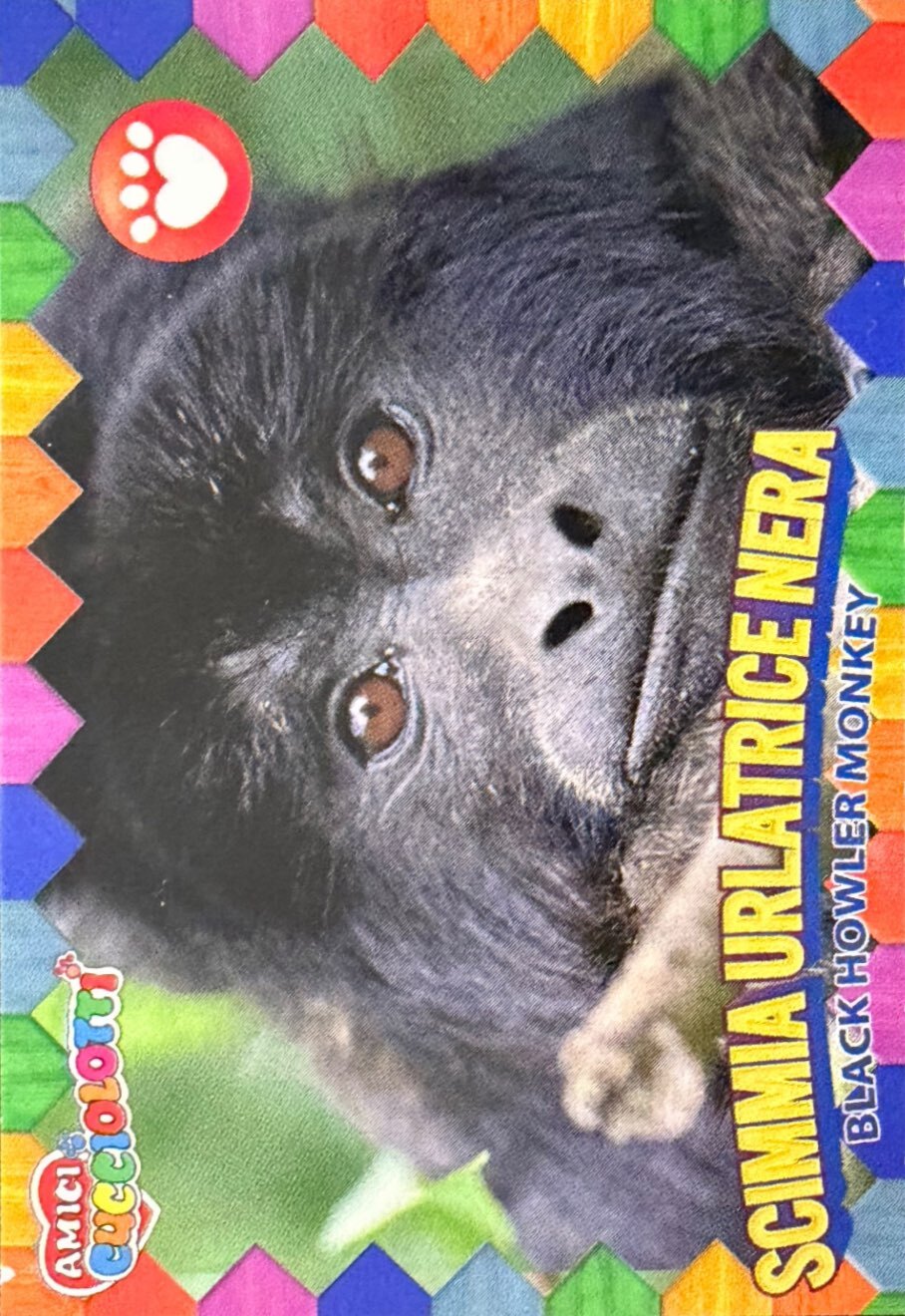 Amici Cucciolotti 2026 Pizzardi Editore - Figurine a Scelta 1-250