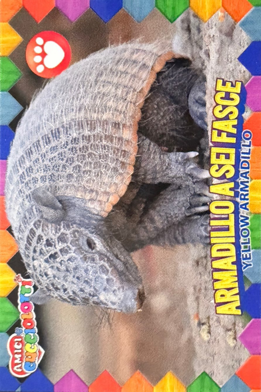 Amici Cucciolotti 2026 Pizzardi Editore - Figurine a Scelta 1-250